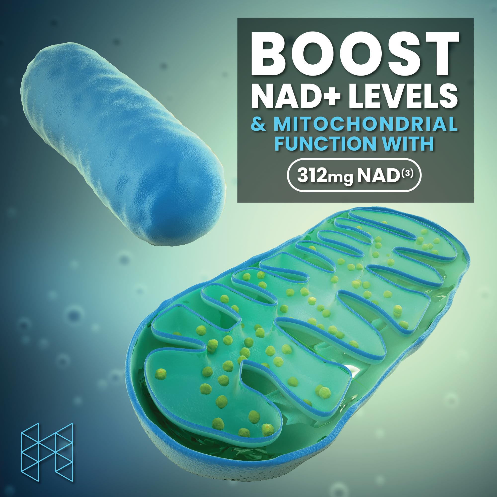 Foto 6 pulgar | Suplemento Hpn Nad3 Nad+Booster 120 Cápsulas - Venta Internacional