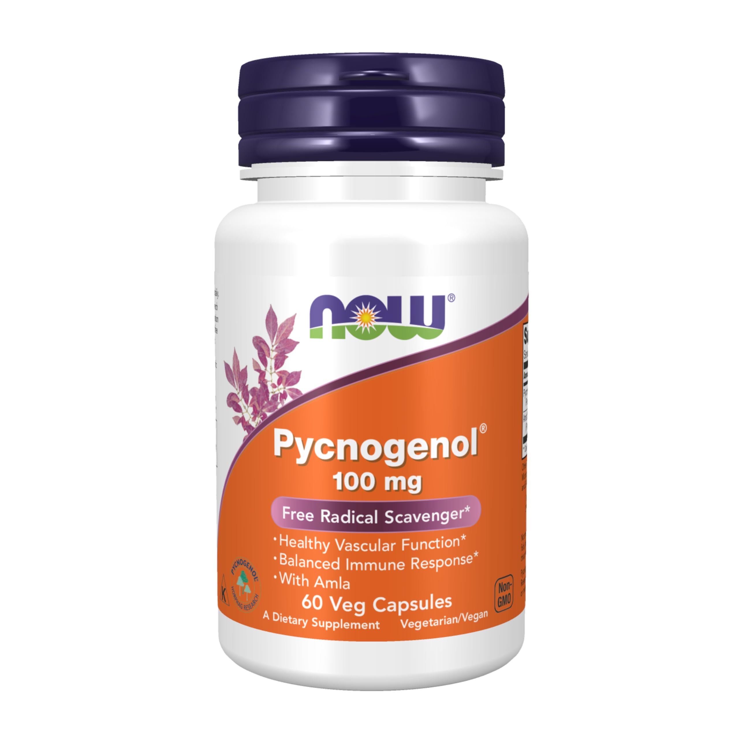 Foto 2 pulgar | Complemento Now Pycnogenol 100 Mg con Amla - 60 cápsulas vegetarianas