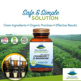 Foto 3 | Suplemento Pure Mountain Botanicals Arándano D Manosa 1000 Mg - Venta Internacional