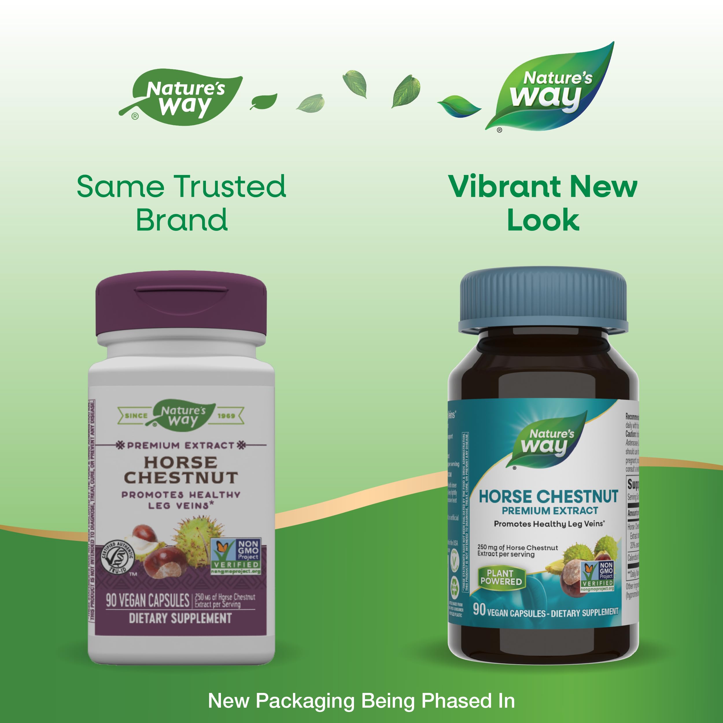 Foto 2 | Suplemento Nature's Way Castaño de Indias 250 Mg 90 Cápsulas - Venta Internacional