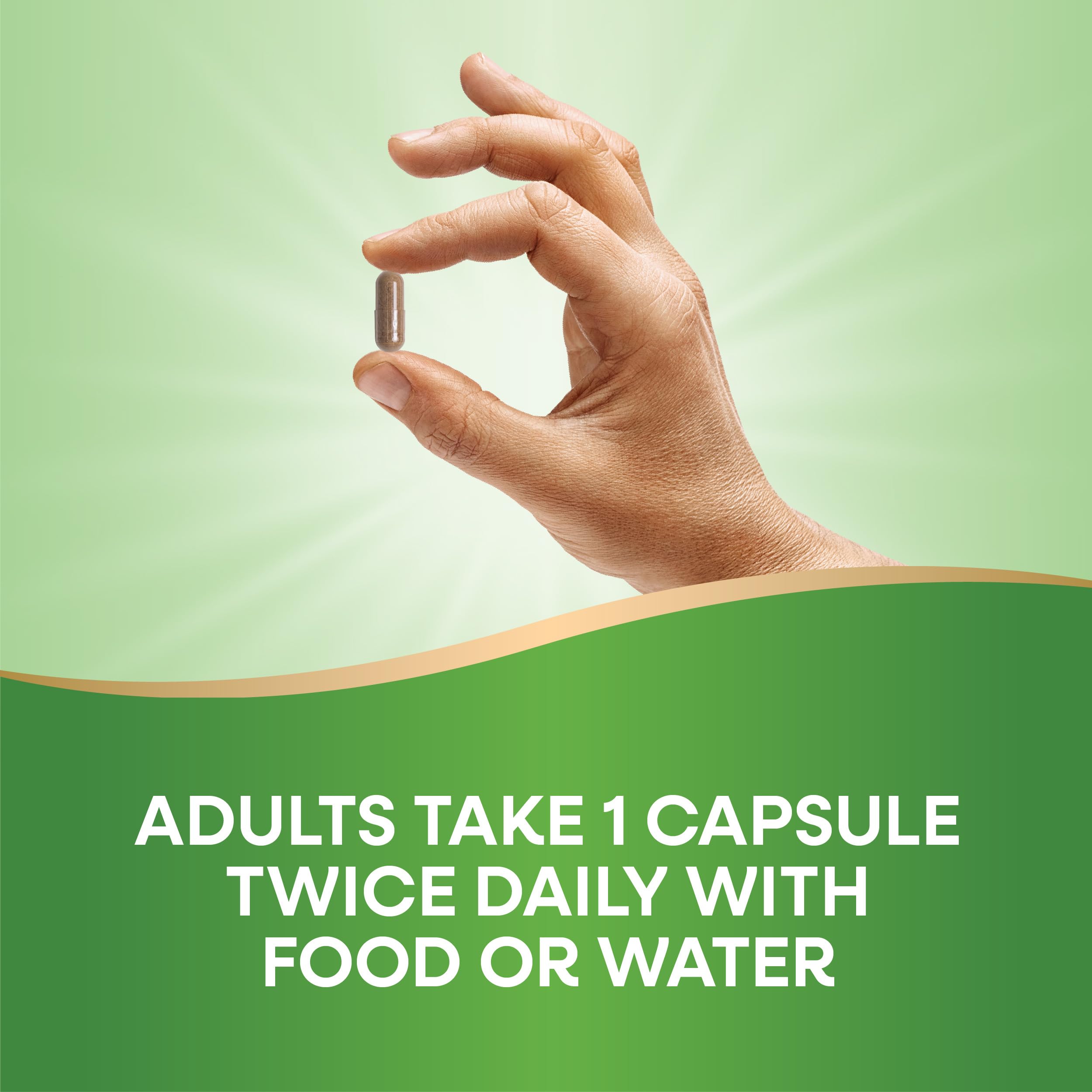 Foto 7 pulgar | Suplemento Nature's Way Castaño de Indias 250 Mg 90 Cápsulas - Venta Internacional