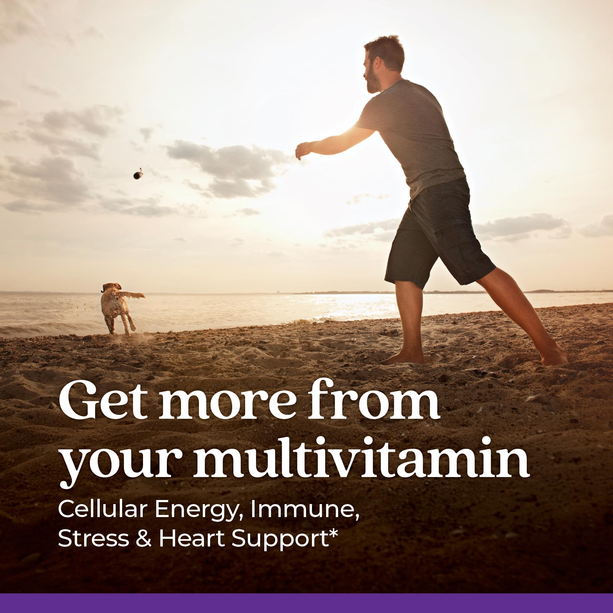 Foto 3 pulgar | Multivitamínico New Chapter Every Man's One Daily 48 Unidades para Hombres - Venta Internacional