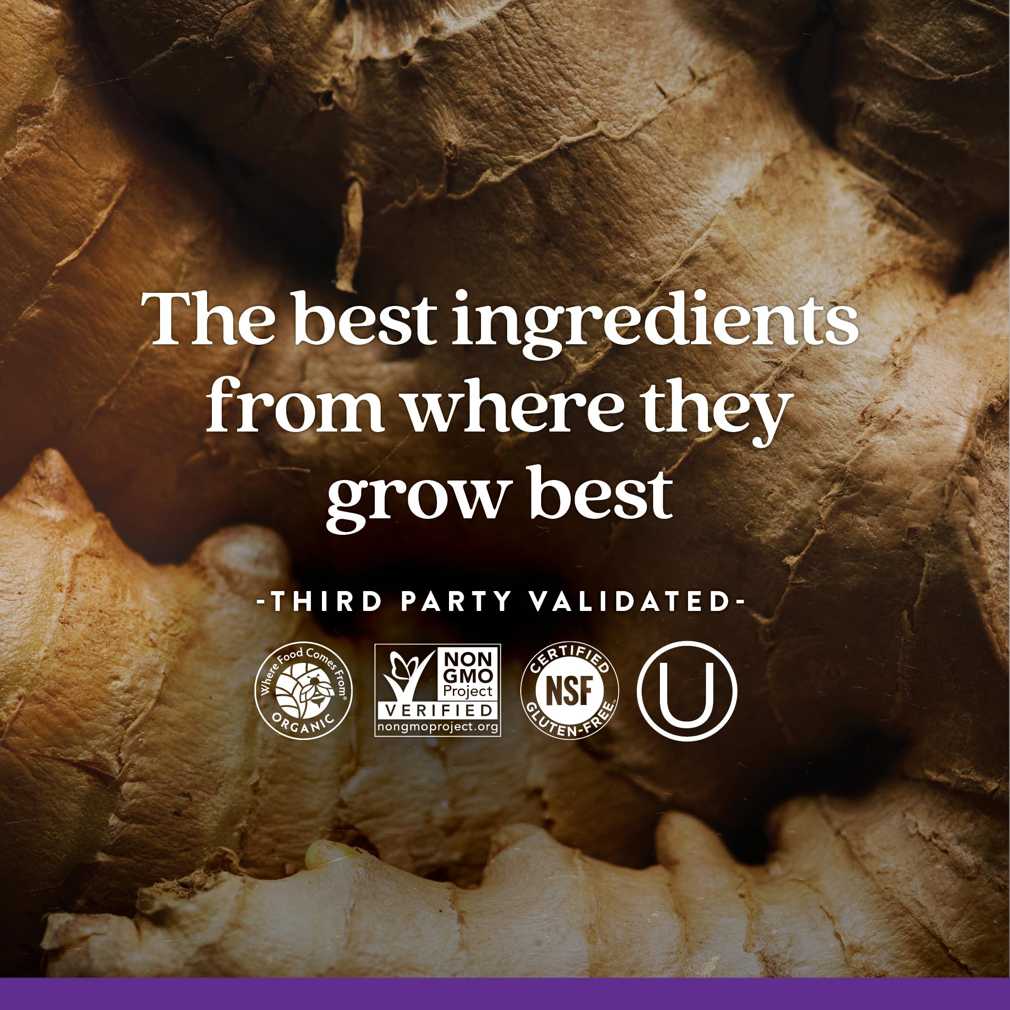 Foto 8 pulgar | Multivitamínico New Chapter Every Man's One Daily 48 Unidades para Hombres - Venta Internacional