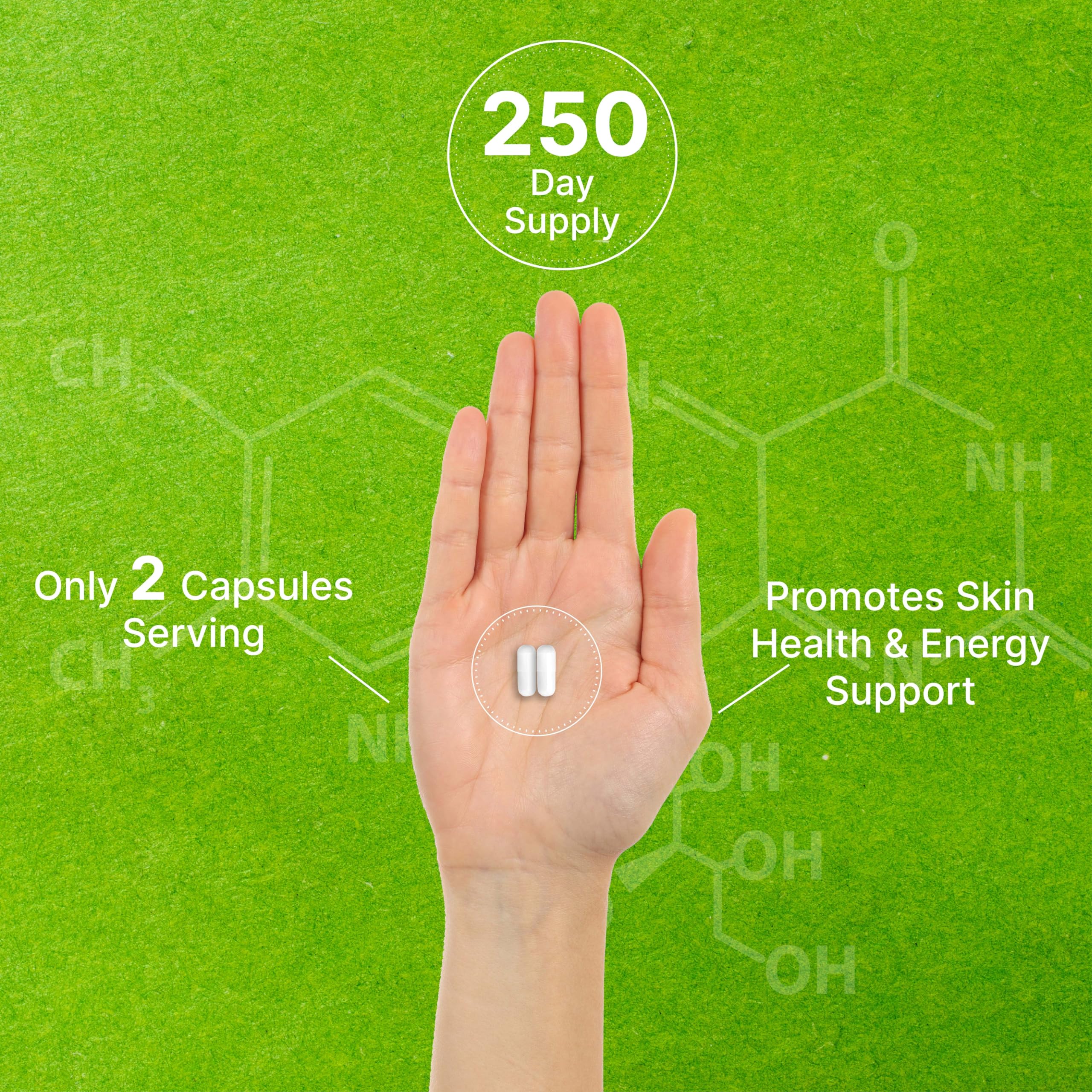 Foto 5 | Suplemento de Vitamina B3 Nicotinamida 1000mg - Venta Internacional