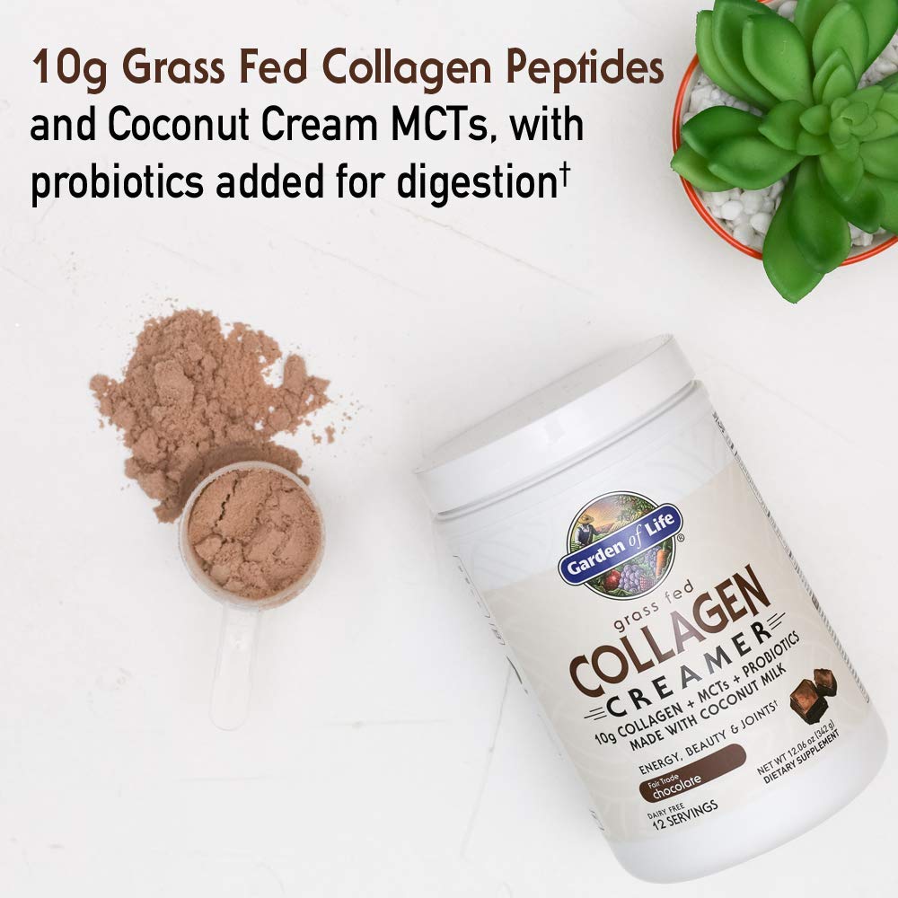 Foto 4 pulgar | Crema de Colágeno en Polvo Garden Of Life Chocolate 12 Porciones - Venta Internacional