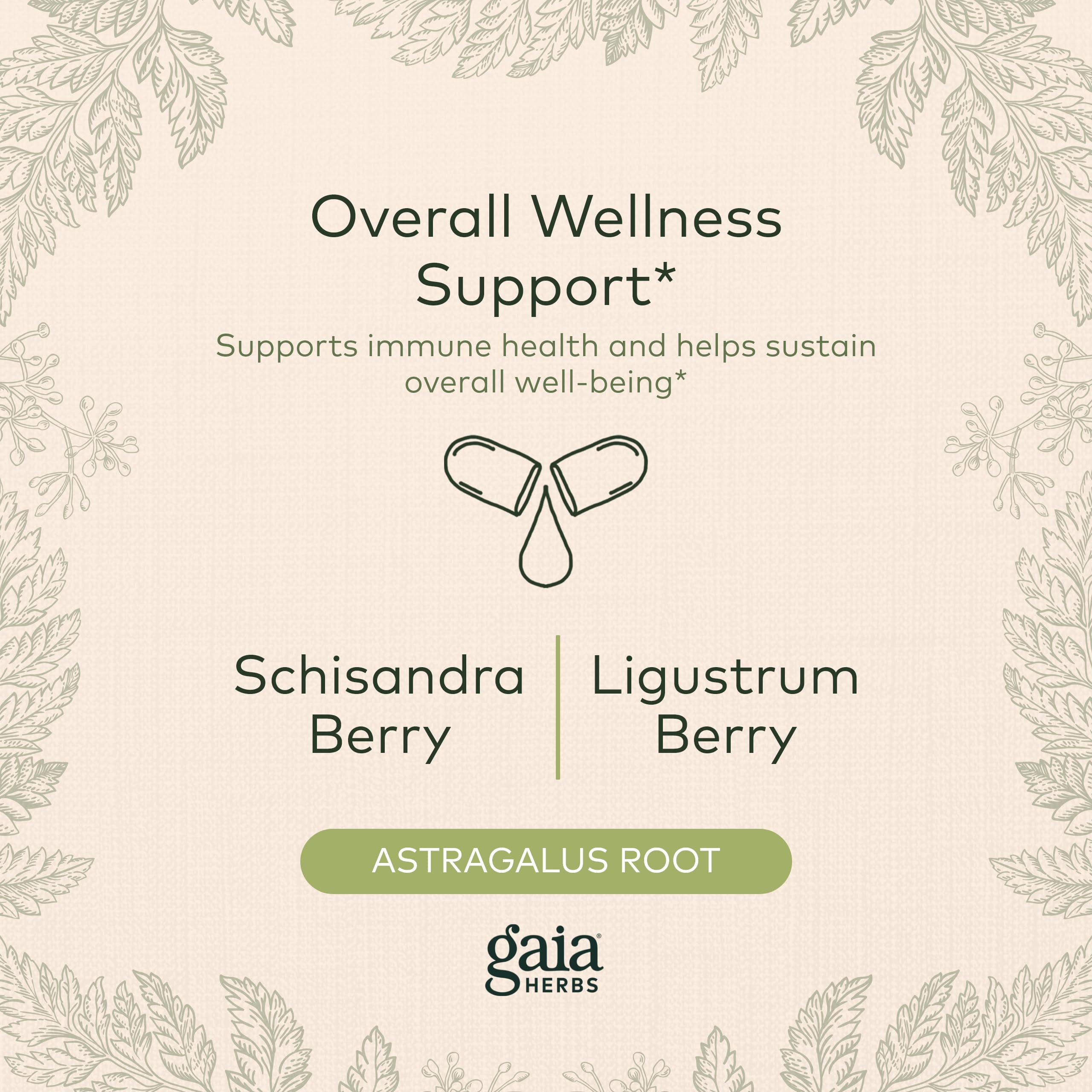 Foto 4 pulgar | Suplemento Gaia Herbs Astragalus Supreme 60 Cápsulas Veganas - Venta Internacional