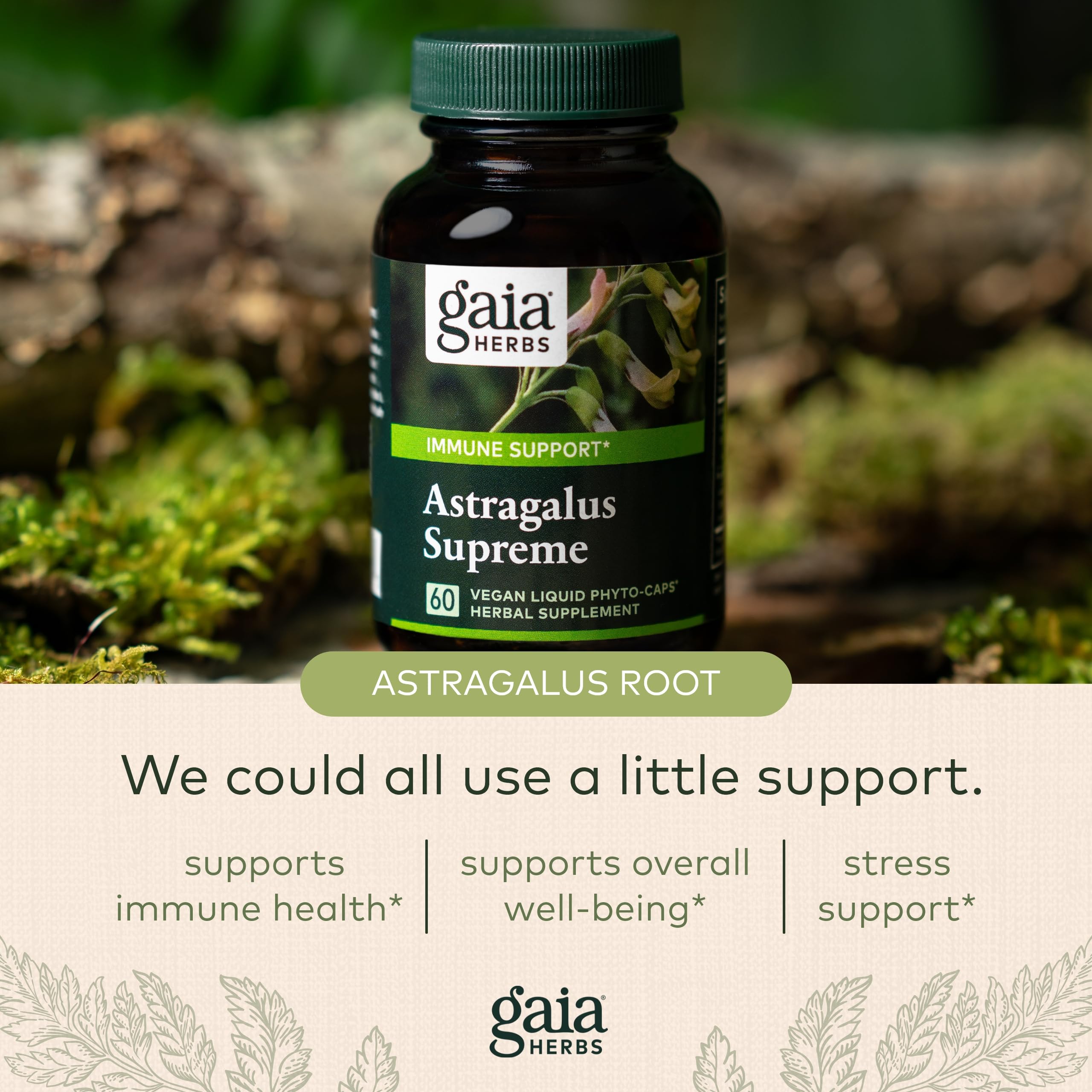 Foto 6 pulgar | Suplemento Gaia Herbs Astragalus Supreme 60 Cápsulas Veganas - Venta Internacional