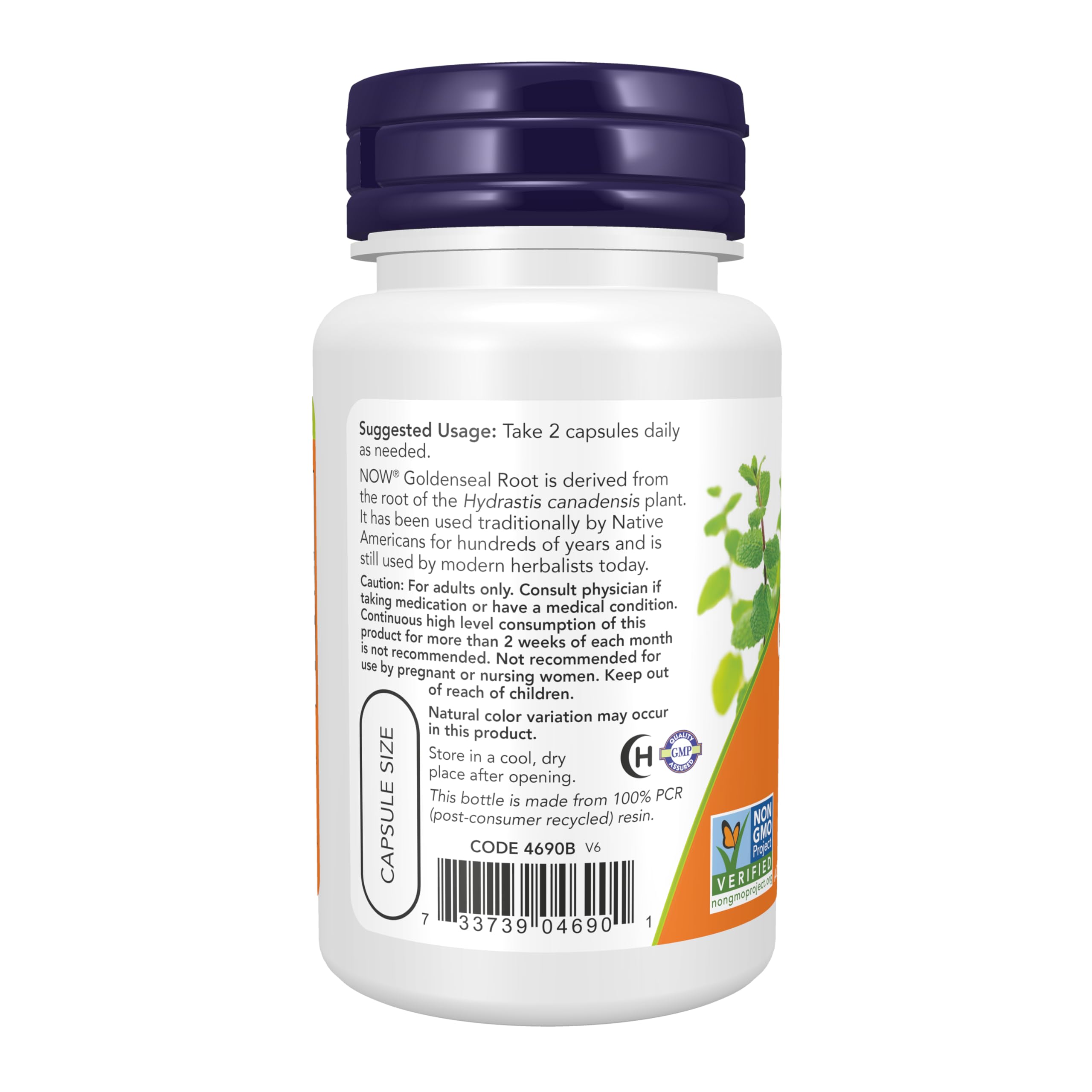 Foto 4 pulgar | Suplemento Now Goldenseal Root 500 mg 50 Cápsulas Vegetales - Venta Internacional