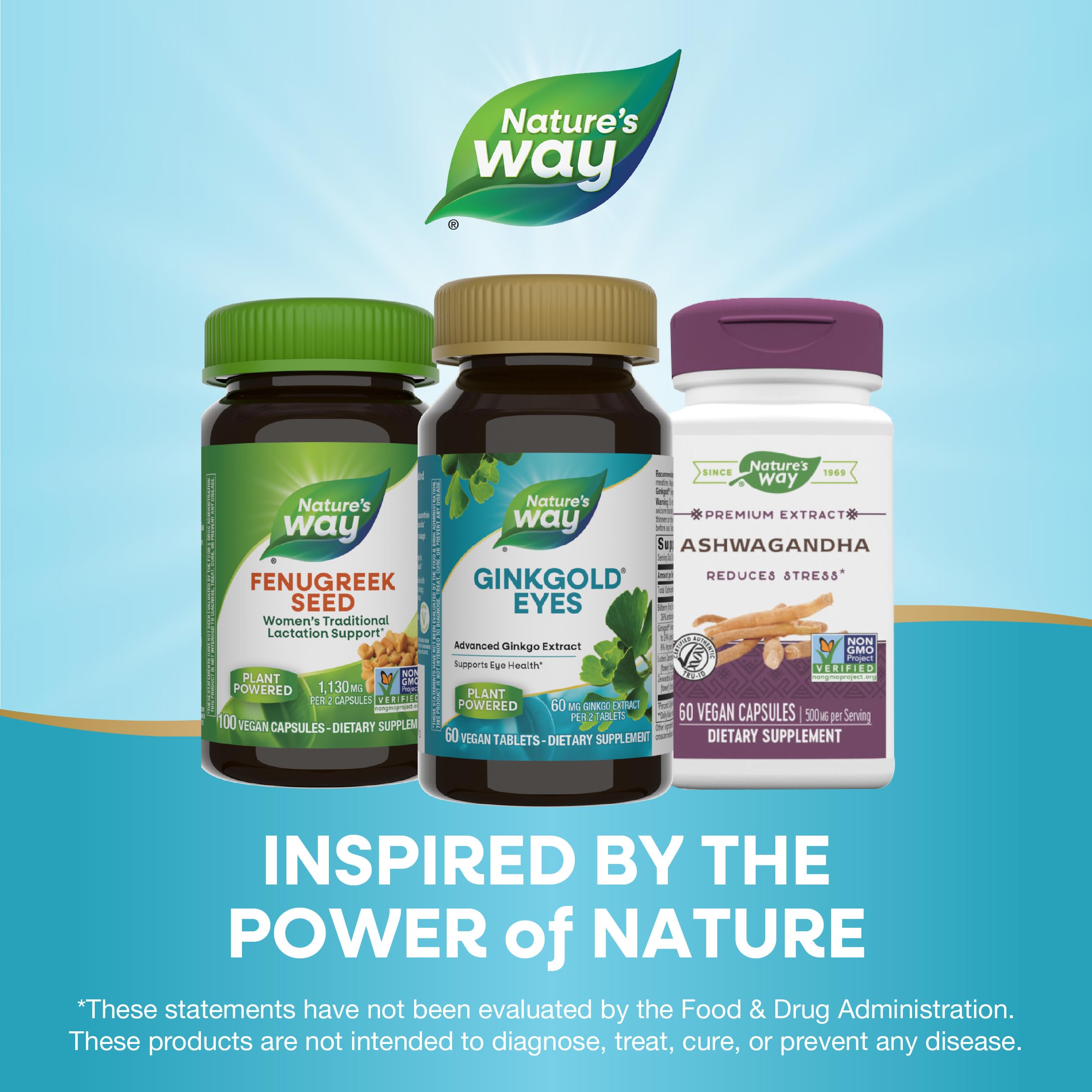 Foto 8 pulgar | Suplemento Nature's Way Ginkgold Eyes Ginkgo Biloba 60 Comprimidos - Venta Internacional