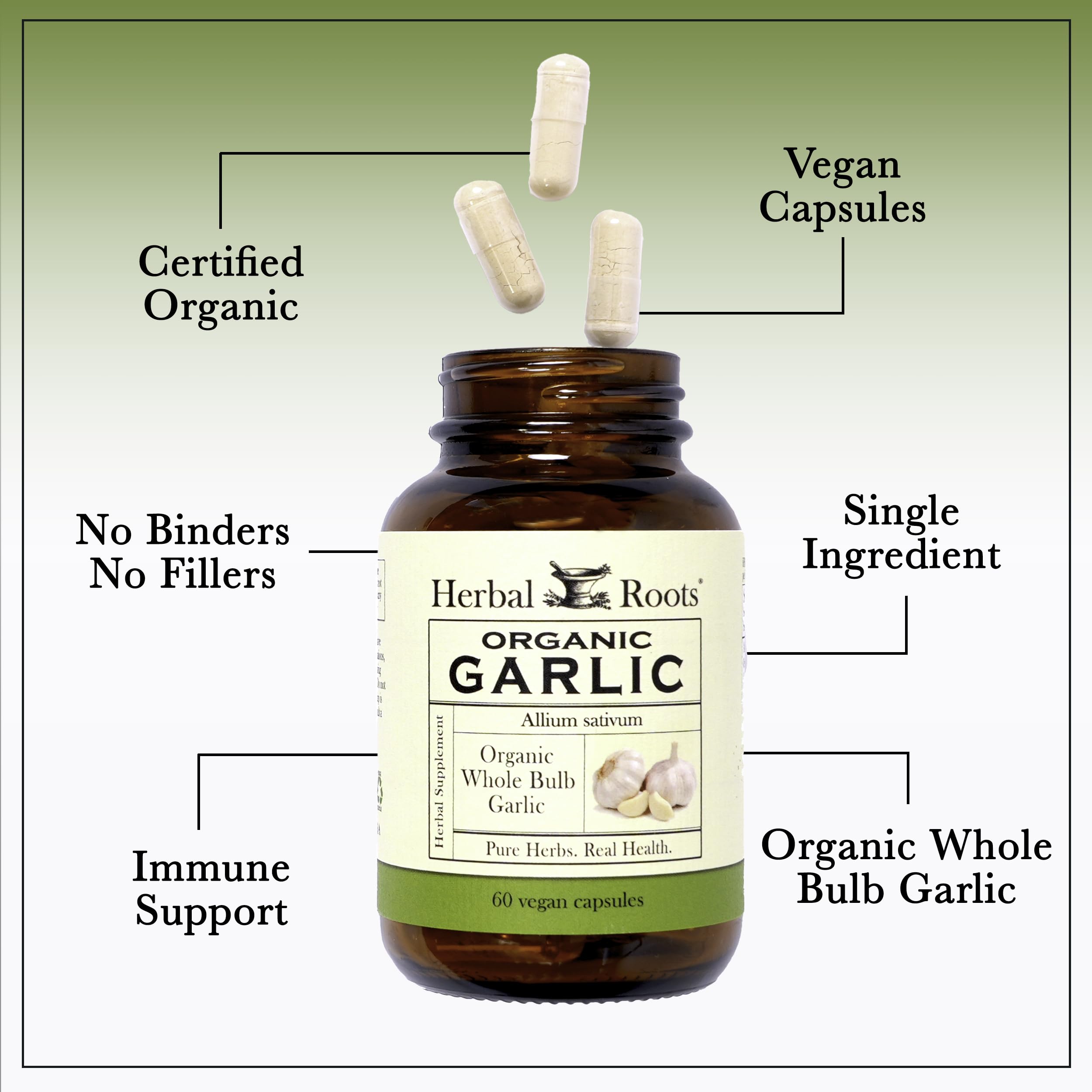 Foto 4 pulgar | Suplemento Herbal Roots Organic de Bulbo Entero con Ajo 600 Mg - Venta Internacional