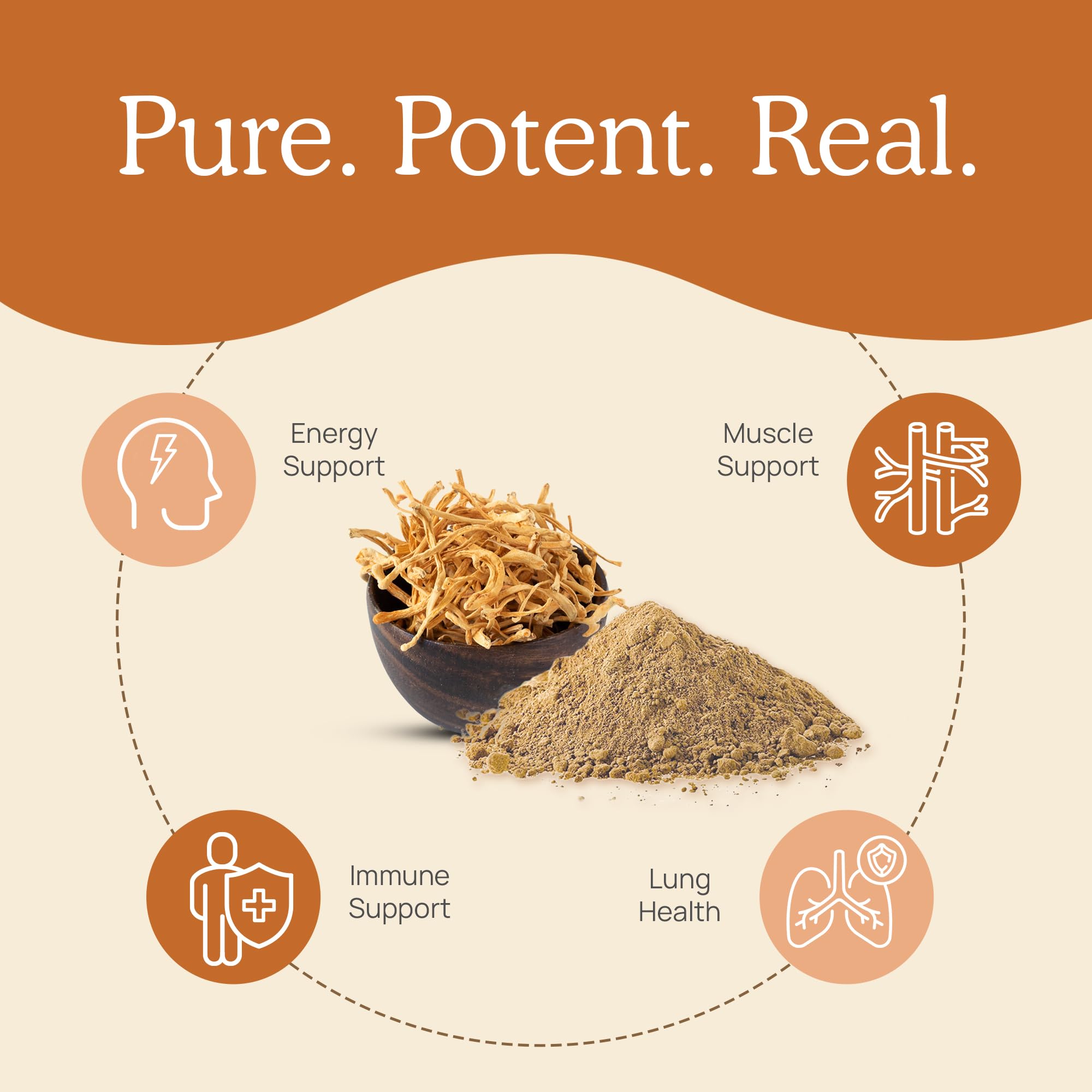 Foto 3 pulgar | Suplemento Real Mushrooms Cordyceps 120 Cápsulas - Venta Internacional