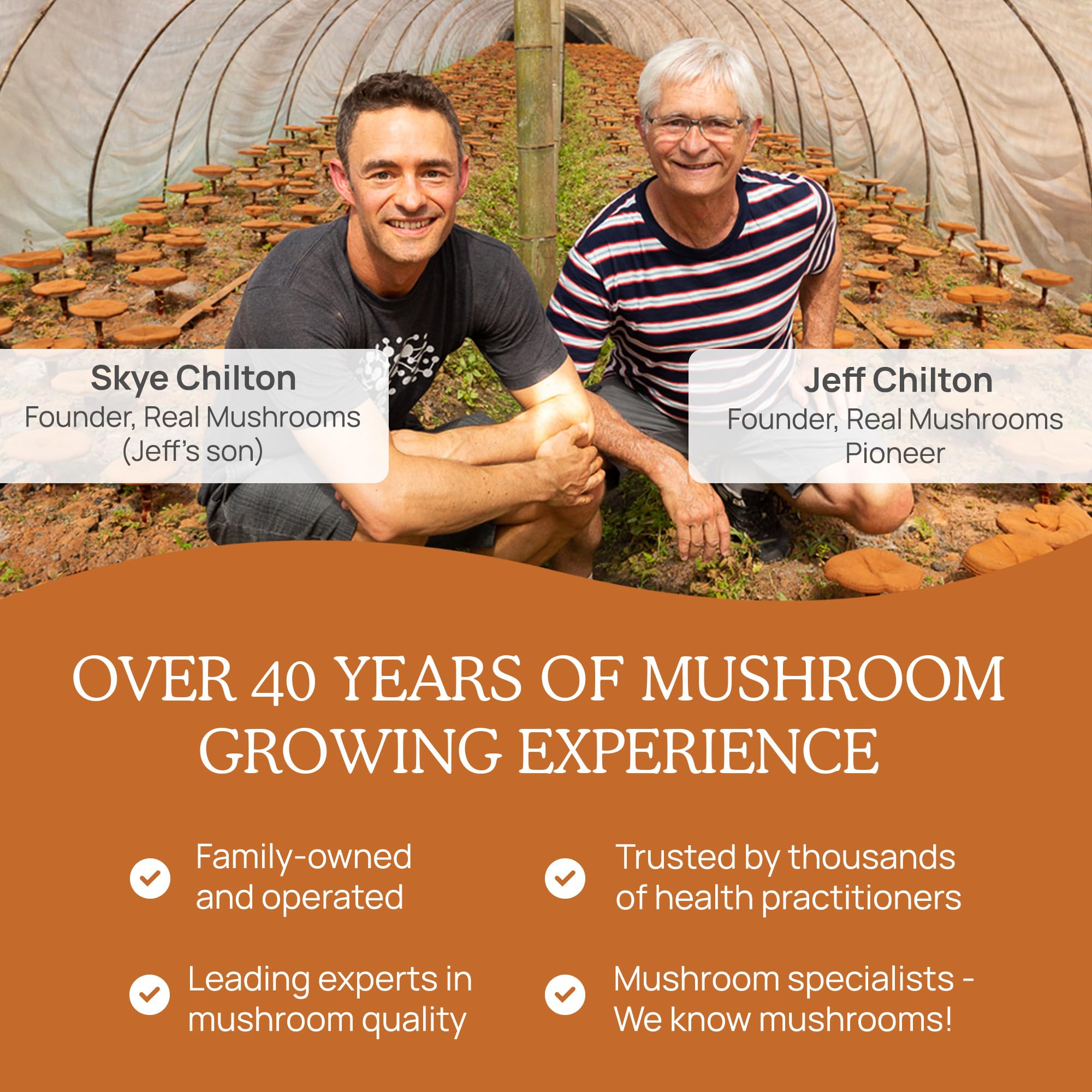 Foto 7 pulgar | Suplemento Real Mushrooms Cordyceps 120 Cápsulas - Venta Internacional