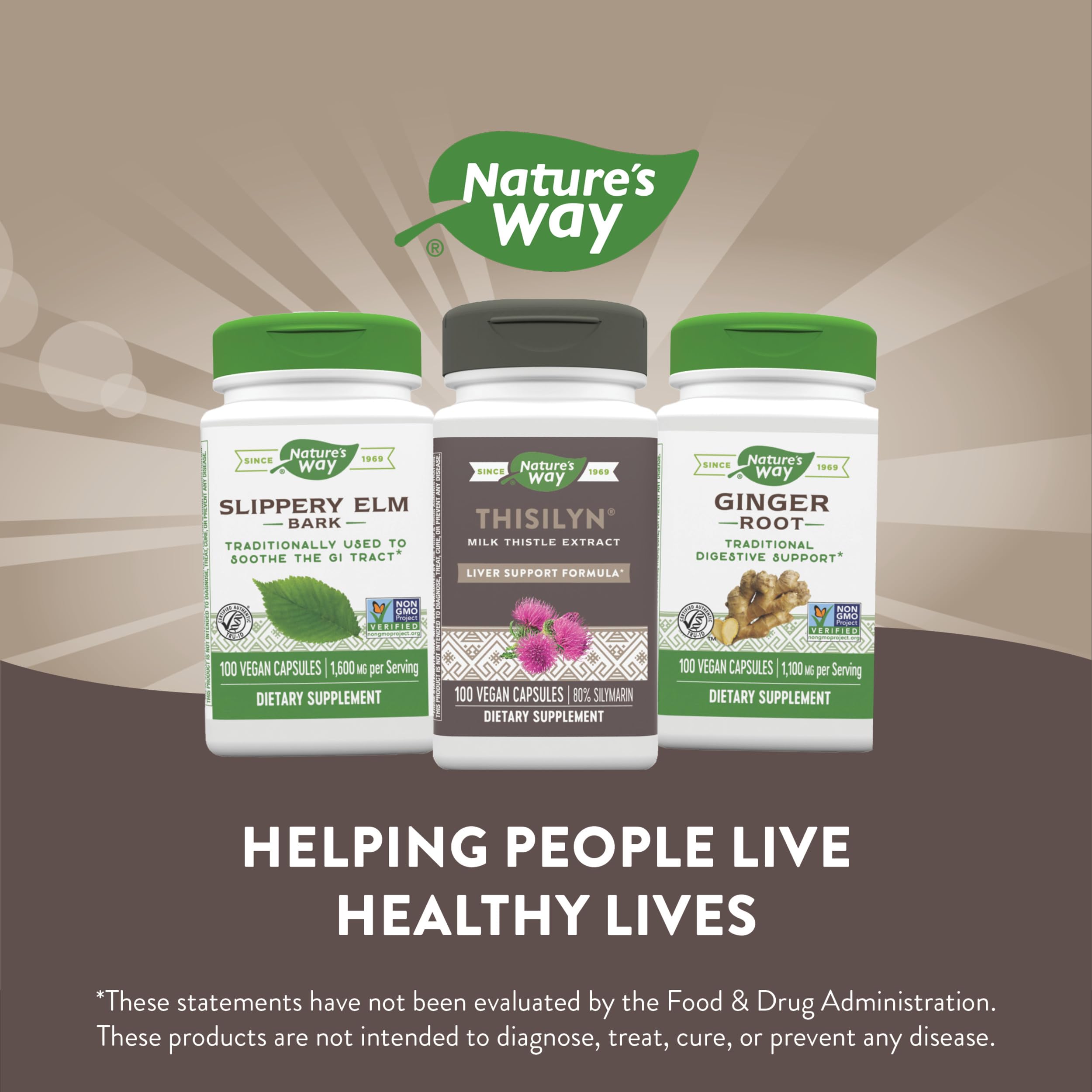 Foto 7 pulgar | Suplemento Nature's Way Thisilyn Milk Thistle 100 Cápsulas - Venta Internacional