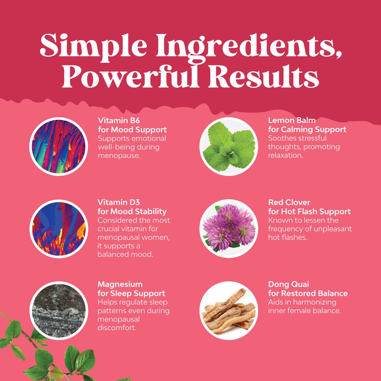 Foto 5 pulgar | Suplemento Natures Craft Complete Herbal Menopause - Venta Internacional