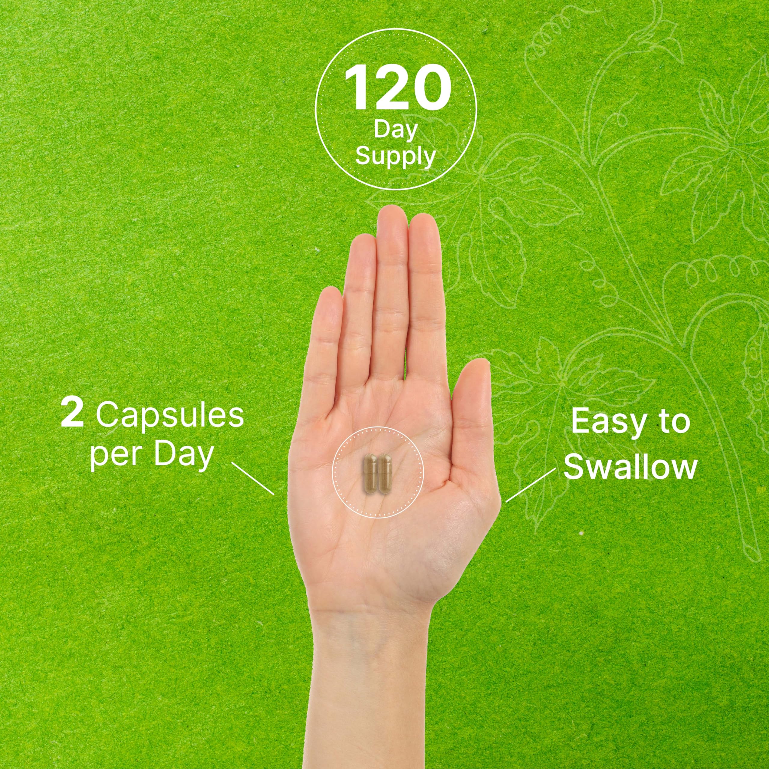 Foto 6 pulgar | Suplemento Deal Supplement Ginkgo Biloba 240 Cápsulas - Venta Internacional