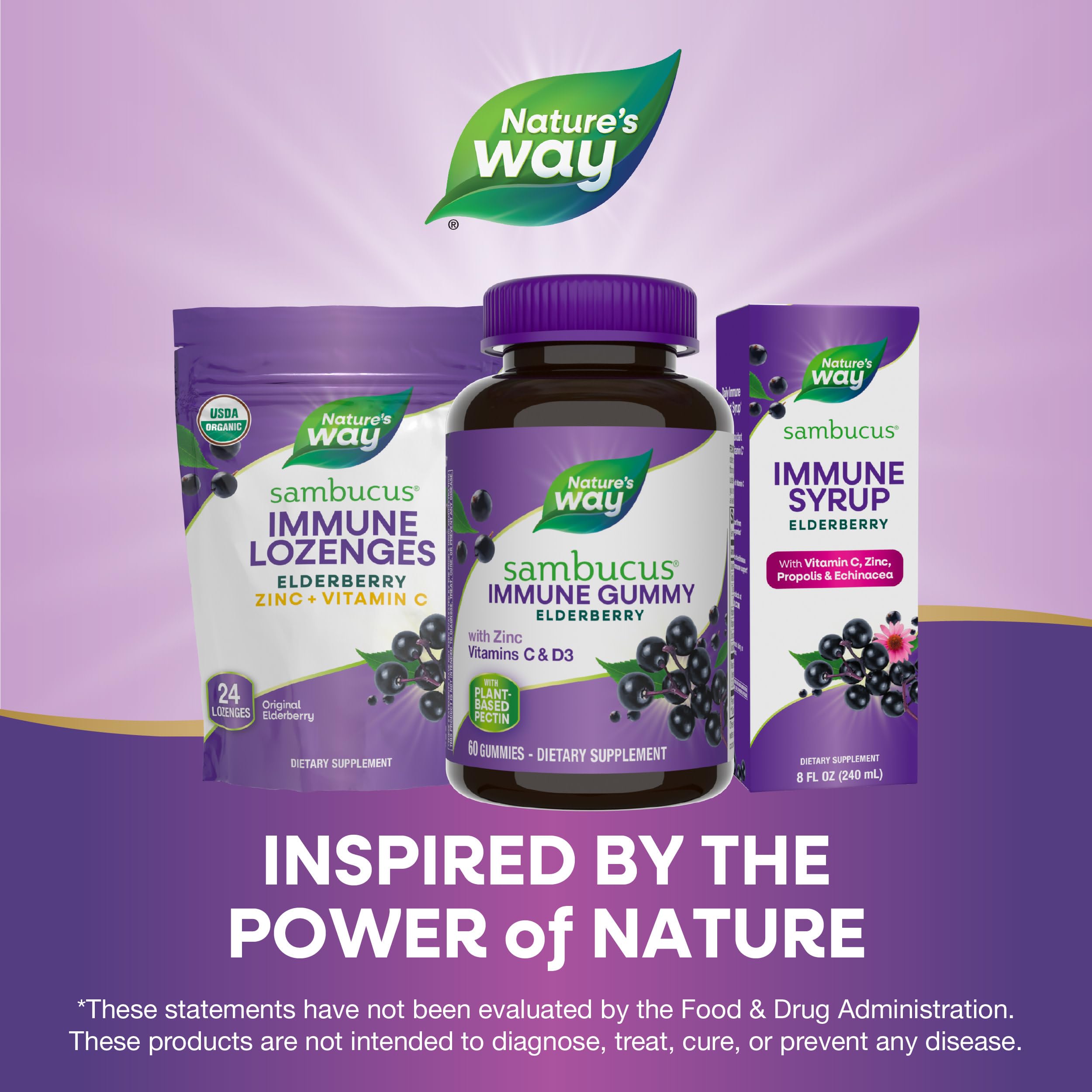 Foto 7 | Gomitas Inmunitarias Nature's Way con Sambucus y Saúco 60 - Venta Internacional