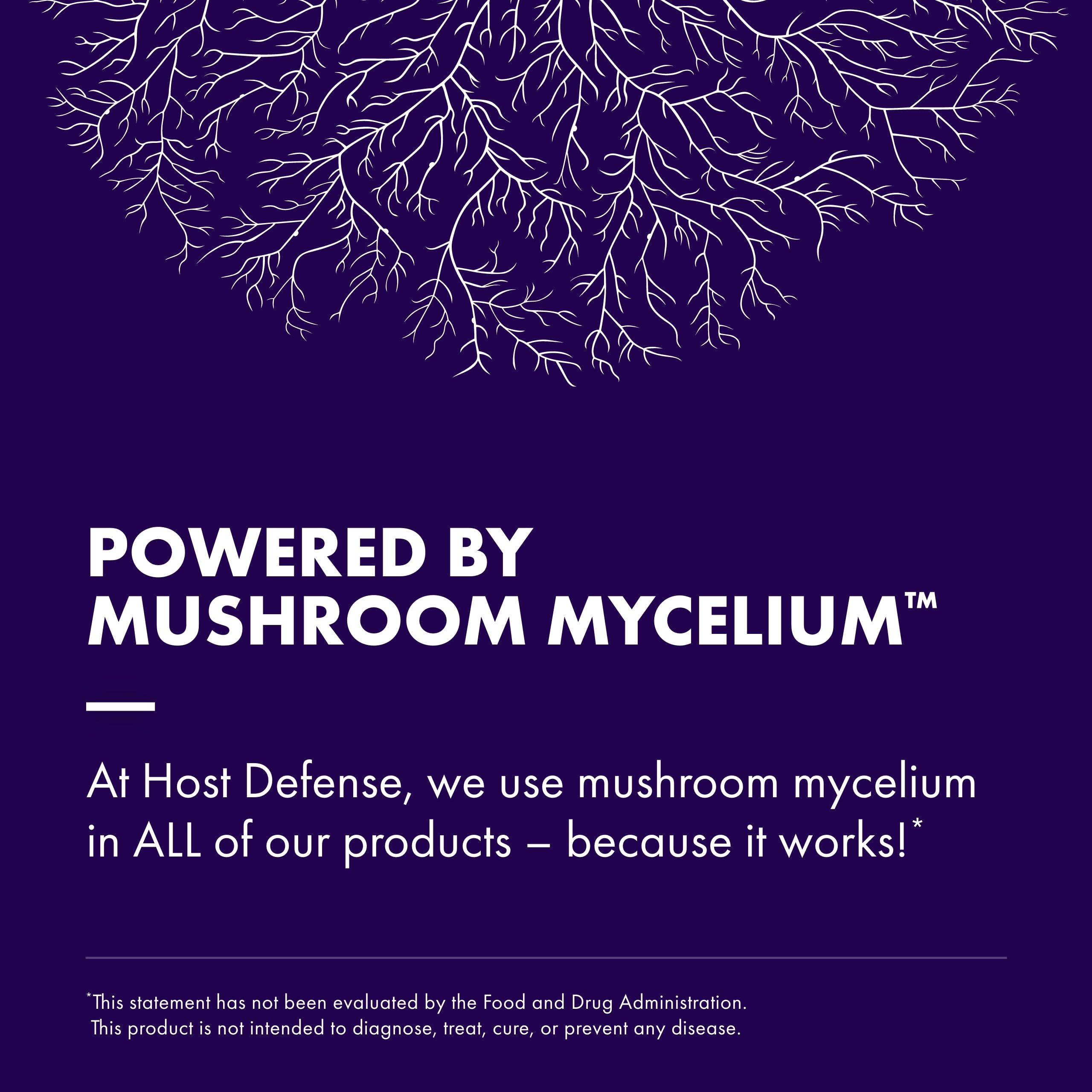 Foto 7 pulgar | Suplemento Host Defense Mushrooms Lion's Mane 60 Cápsulas - Venta Internacional