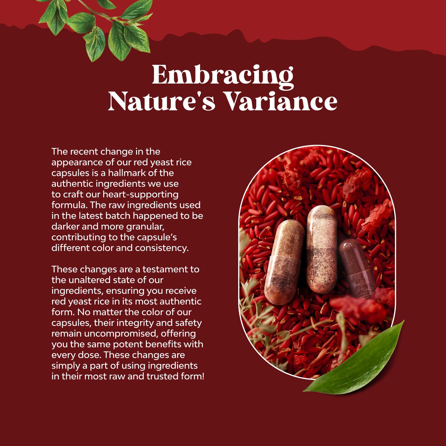 Foto 7 pulgar | Suplemento Natures Craft Arroz de Levadura Roja 120 Cápsulas-Venta Internacional