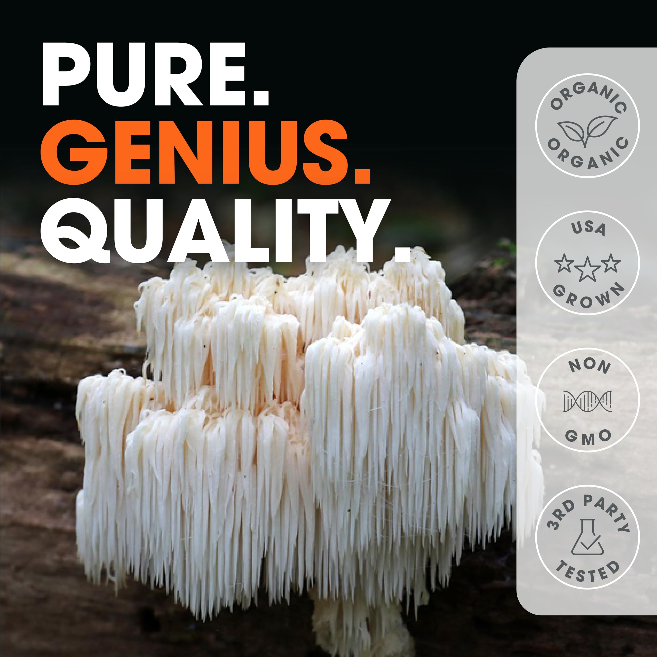 Foto 6 pulgar | Suplemento Genius Lions Mane 1200 mg 120 Cápsulas - Venta Internacional