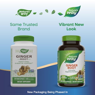 Foto 2 | Suplemento de Raíz de Jengibre Nature's Way 1100 mg 240 - Venta Internacional
