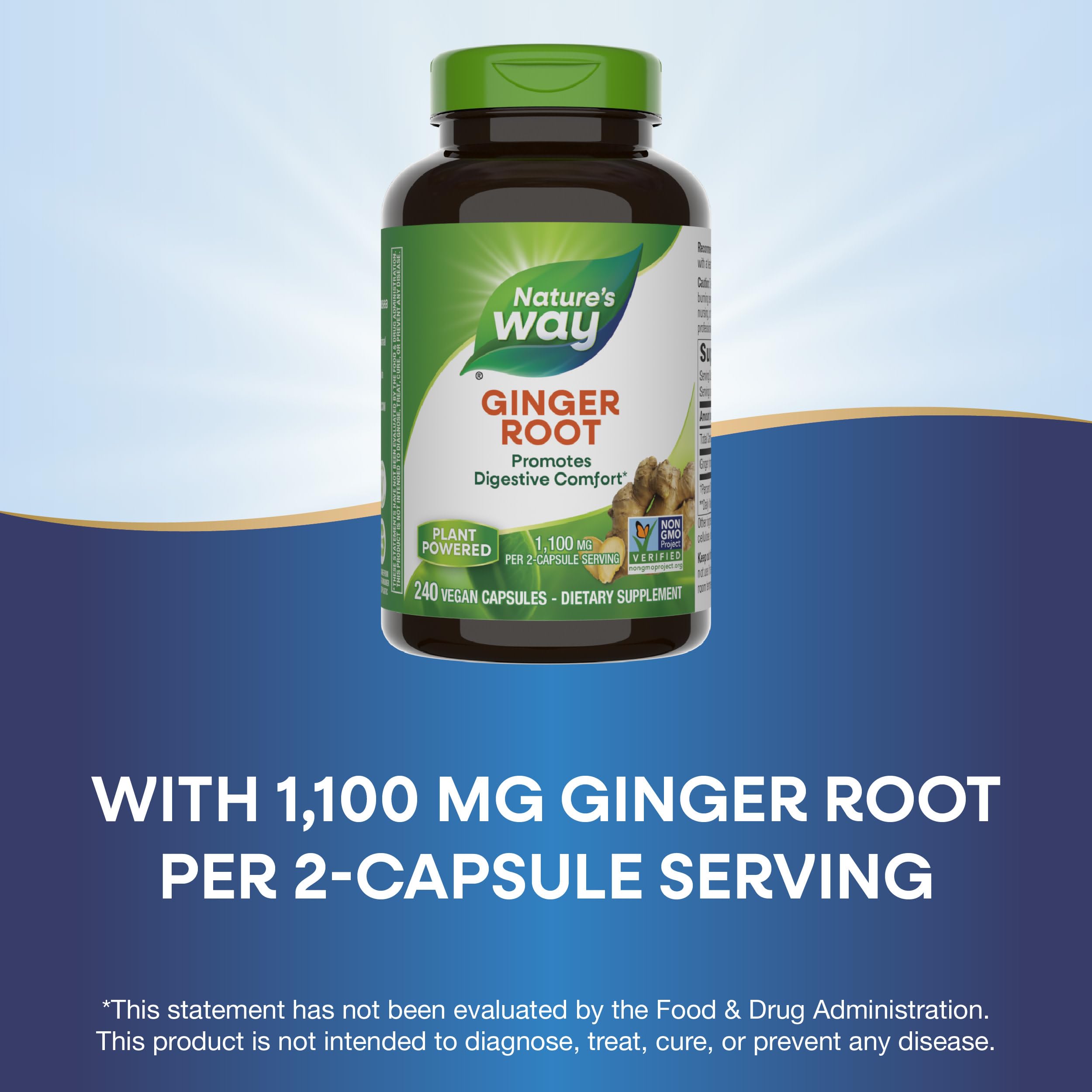 Foto 5 pulgar | Suplemento de Raíz de Jengibre Nature's Way 1100 mg 240 - Venta Internacional