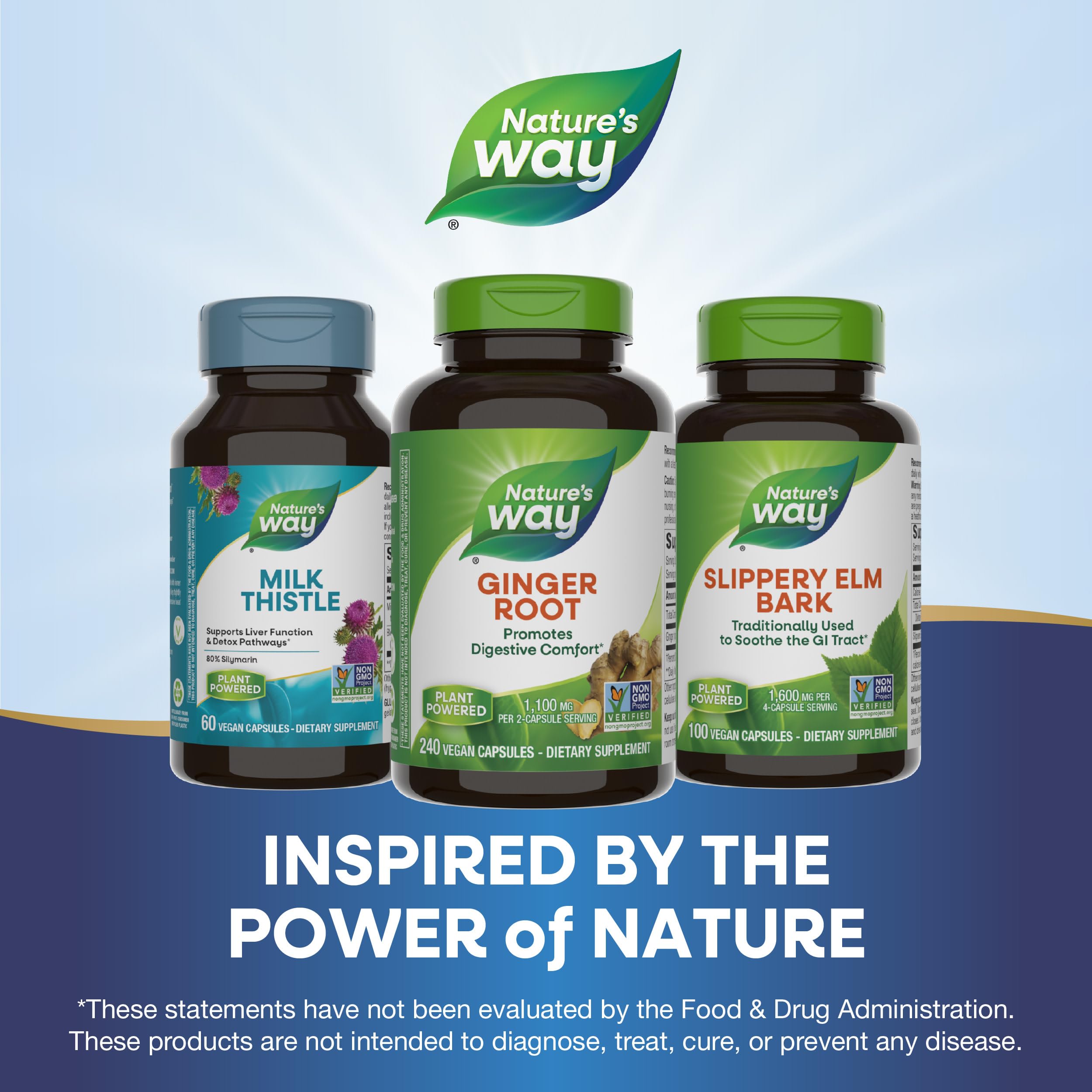 Foto 8 pulgar | Suplemento de Raíz de Jengibre Nature's Way 1100 mg 240 - Venta Internacional