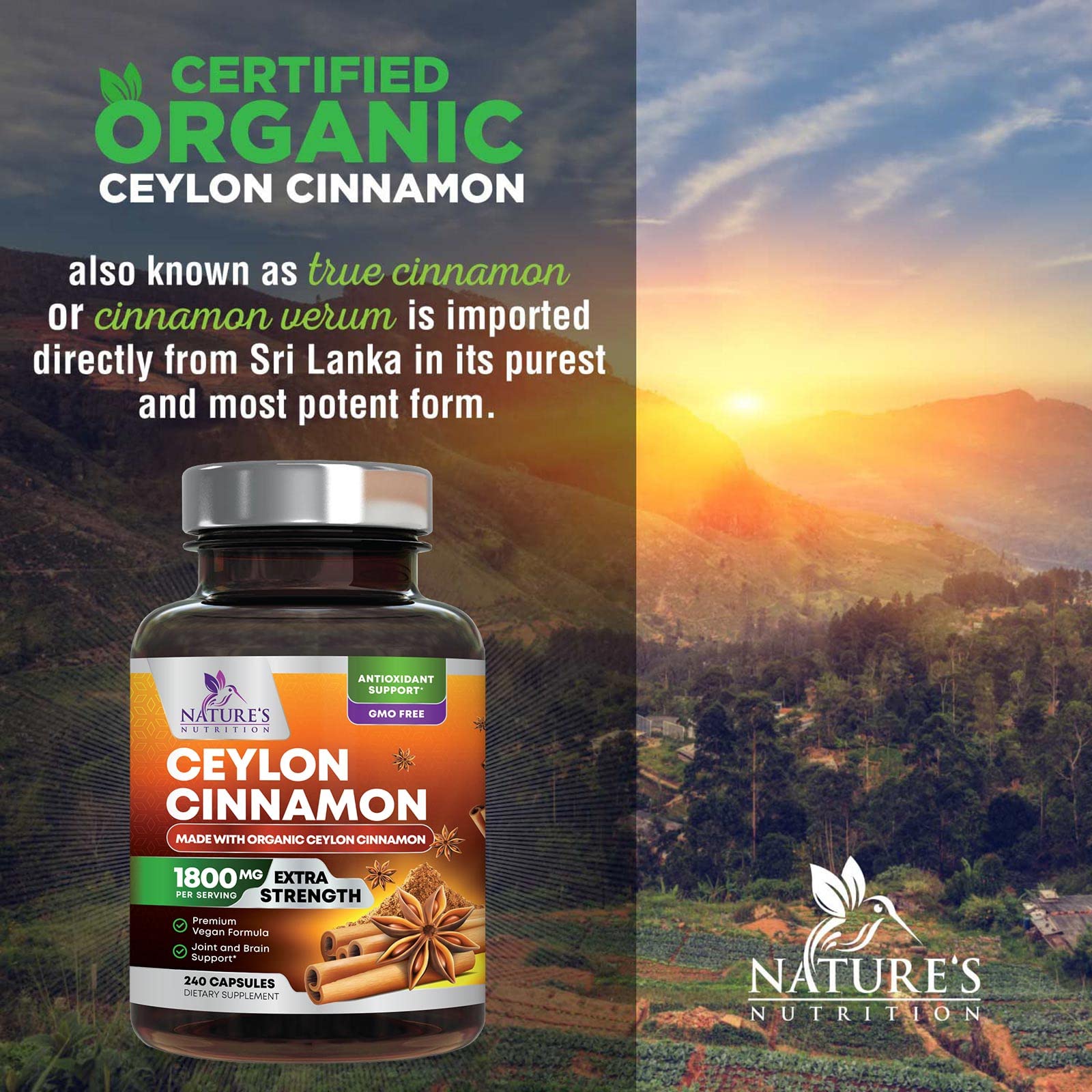 Foto 6 pulgar | Suplemento Nature's Nutrition con Canela de Ceilán 240 Cápsulas - Venta Internacional