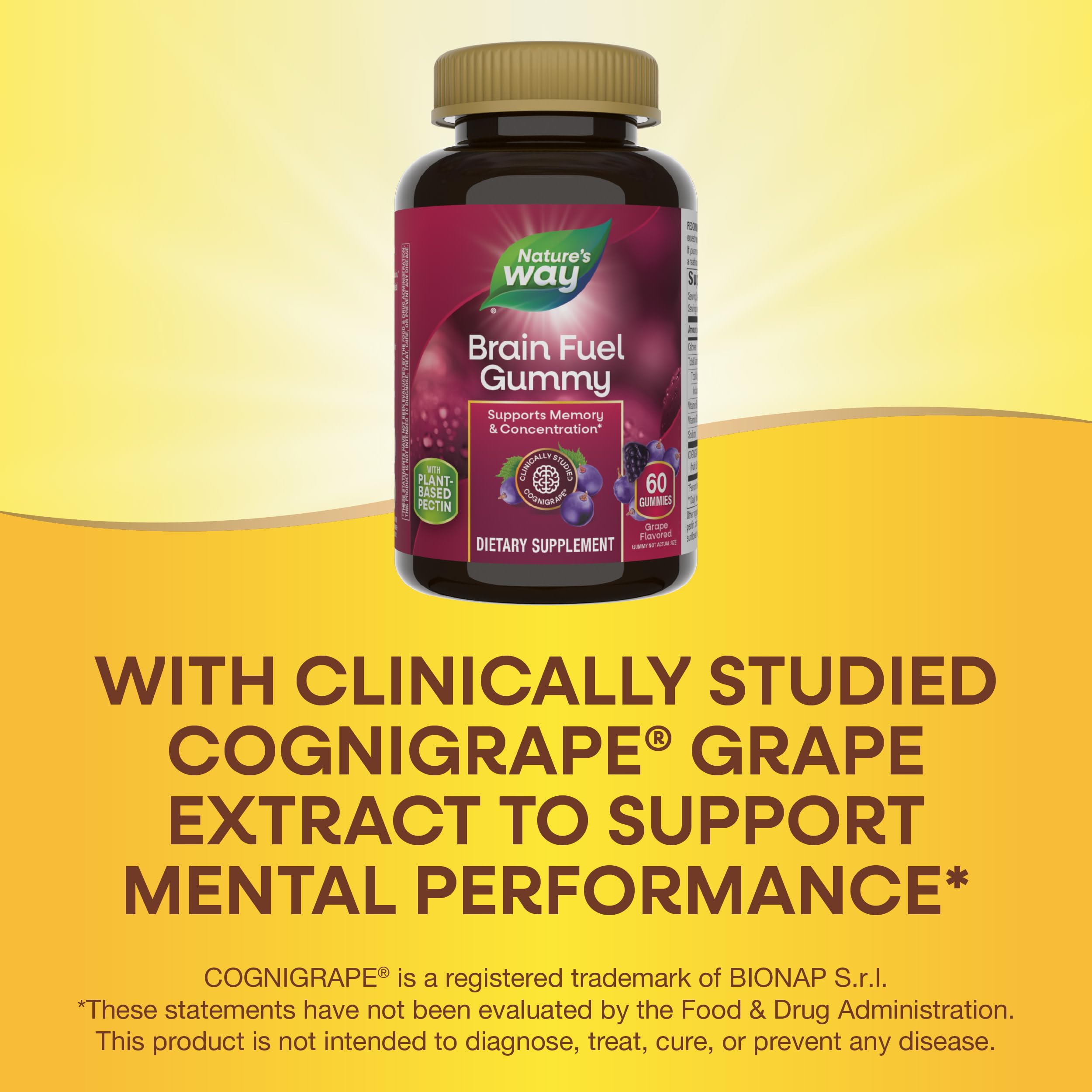 Foto 5 pulgar | Suplemento Nature's Way Brain Fuel 60 Gomitas Con Sabor A Uva - Venta Internacional