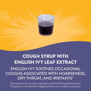 Foto 2 | Sirope para La Tos Nature's Way Sambucus Honeyberry 120 ml - Venta Internacional