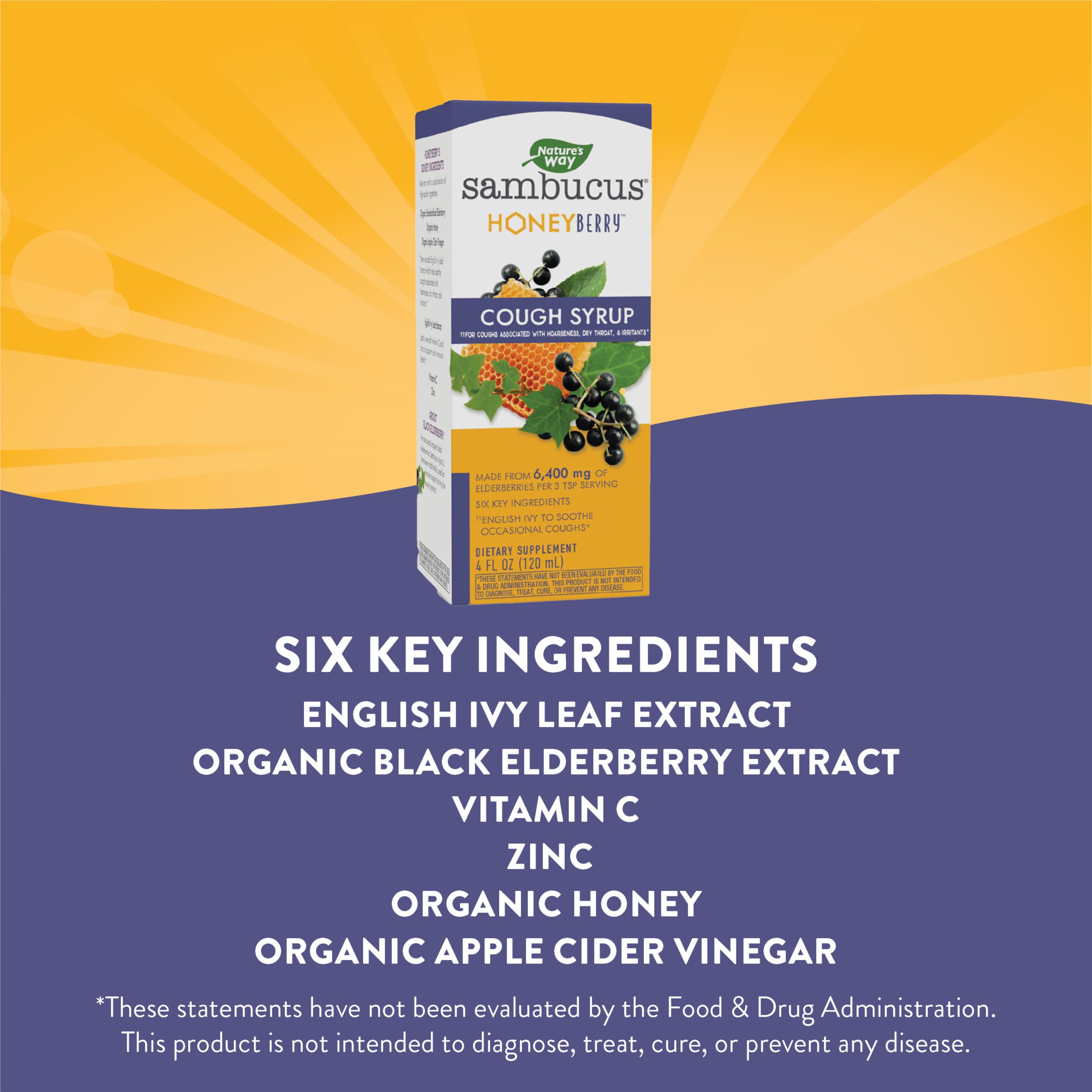 Foto 4 pulgar | Sirope para La Tos Nature's Way Sambucus Honeyberry 120 ml - Venta Internacional