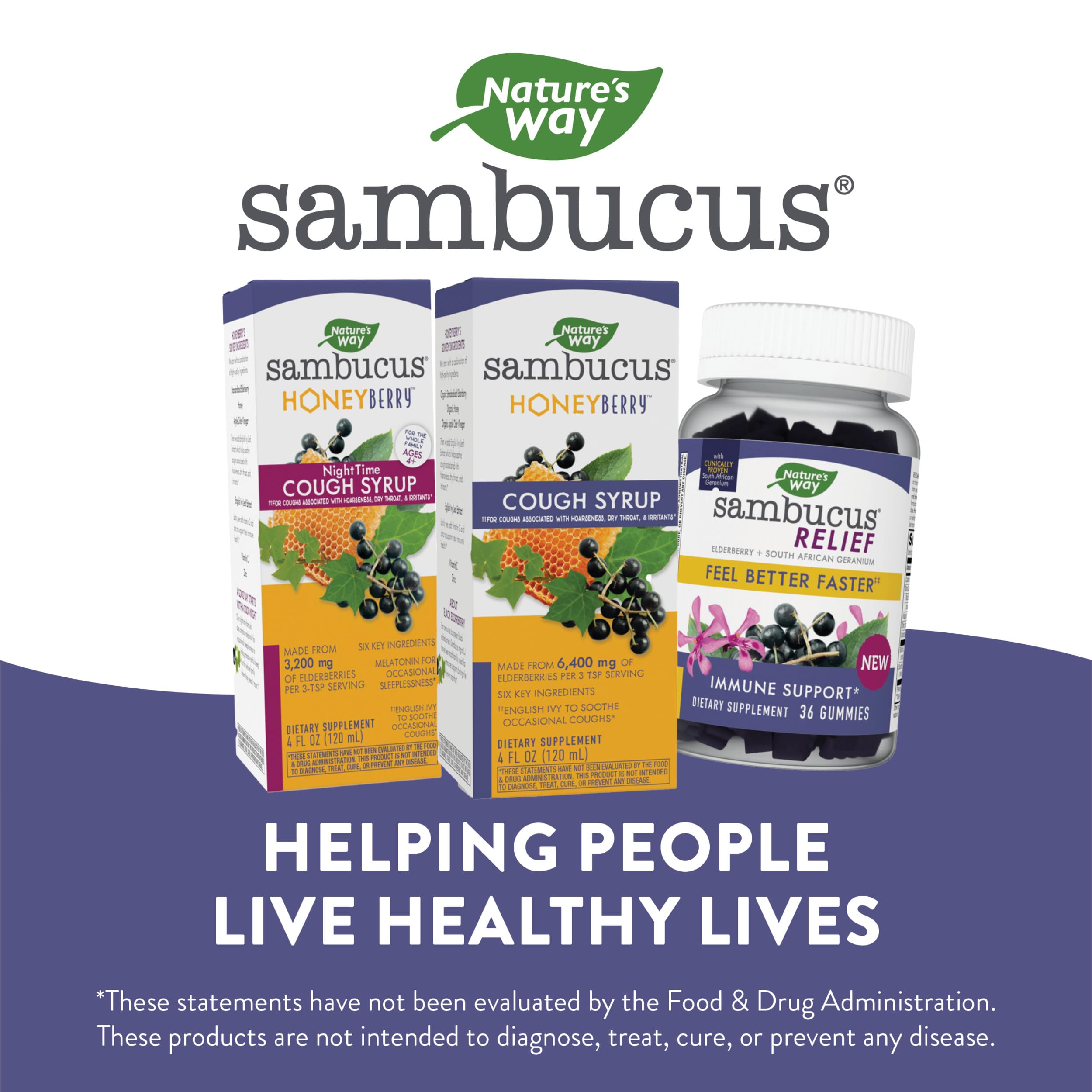 Foto 7 pulgar | Sirope para La Tos Nature's Way Sambucus Honeyberry 120 ml - Venta Internacional
