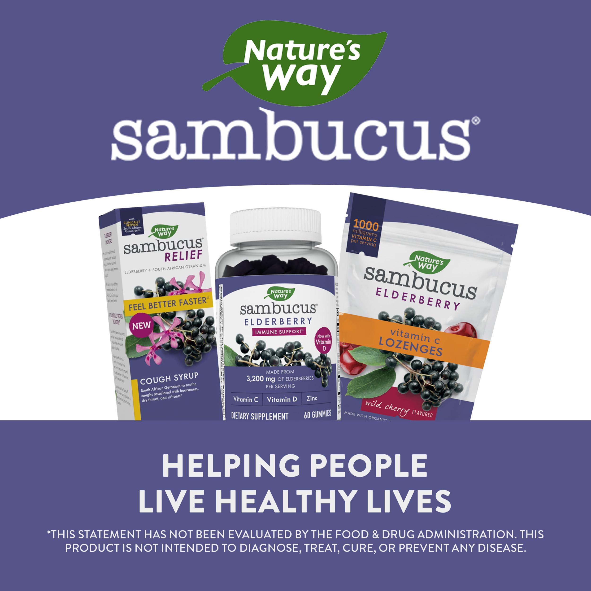 Foto 7 pulgar | Sirope para La Tos Nature's Way Sambucus Relief Con Saúco 240 Ml - Venta Internacional
