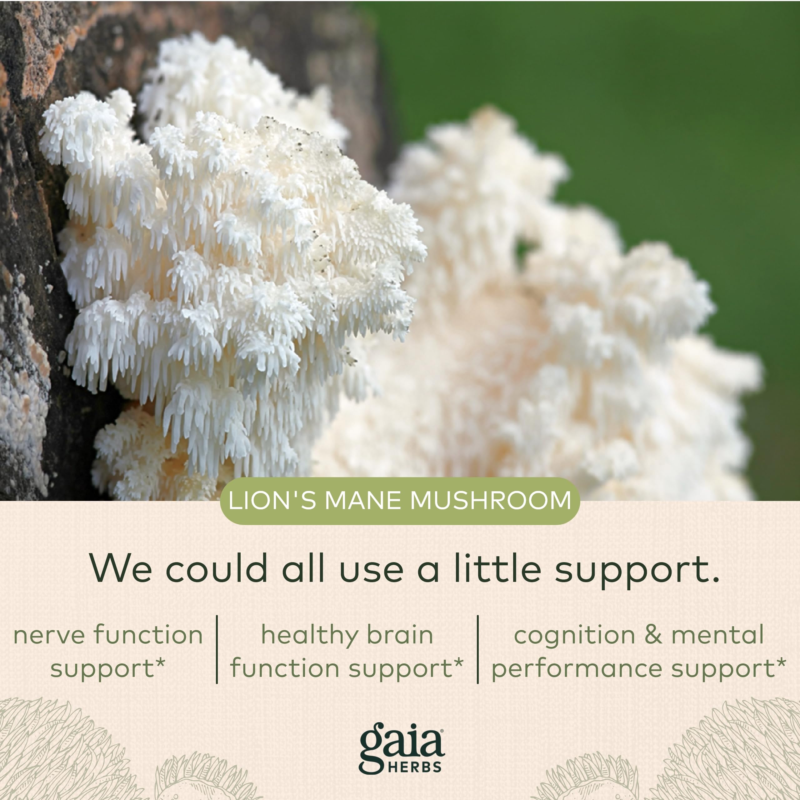 Foto 6 pulgar | Suplemento Gaia Herbs Lions Mane Mushroom 40 Cápsulas - Venta Internacional