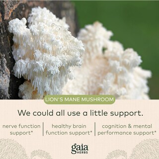 Foto 5 | Suplemento Gaia Herbs Lions Mane Mushroom 40 Cápsulas - Venta Internacional