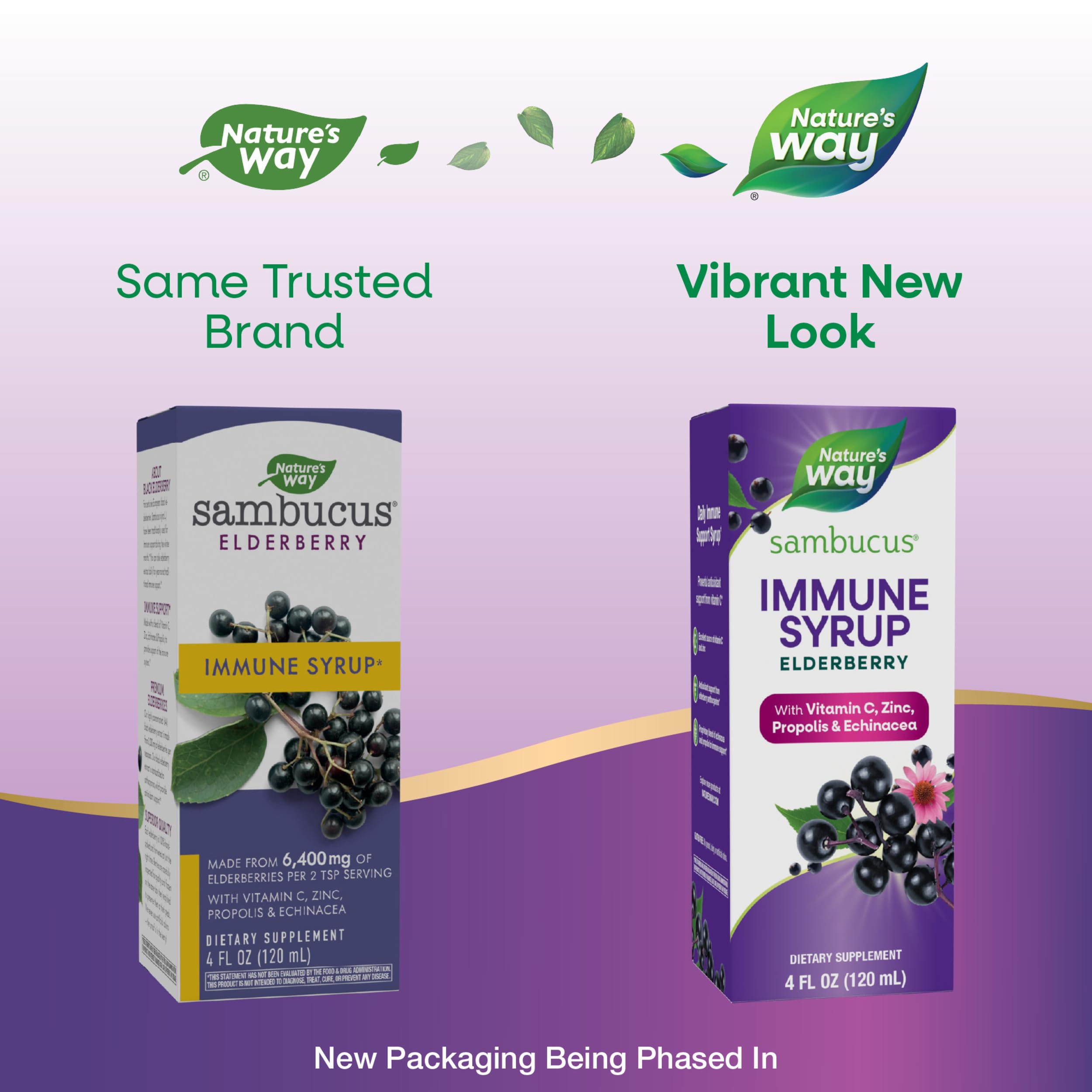 Foto 3 pulgar | Suplemento Nature's Way Sambucus Elderberry Immune 120 Ml con Vitamina C Zinc Equinácea y Propóleo - Venta Internacion