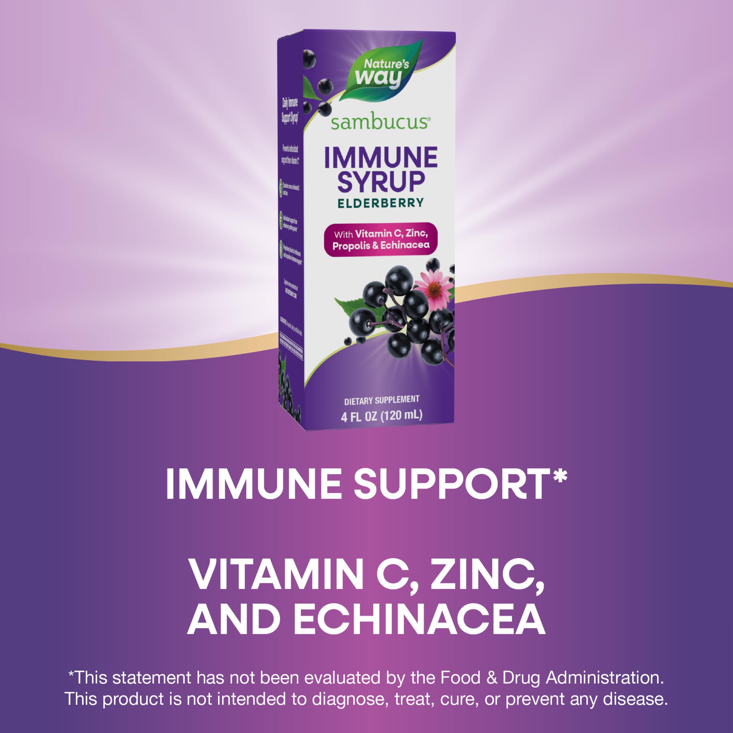 Foto 5 pulgar | Suplemento Nature's Way Sambucus Elderberry Immune 120 Ml con Vitamina C Zinc Equinácea y Propóleo - Venta Internacion