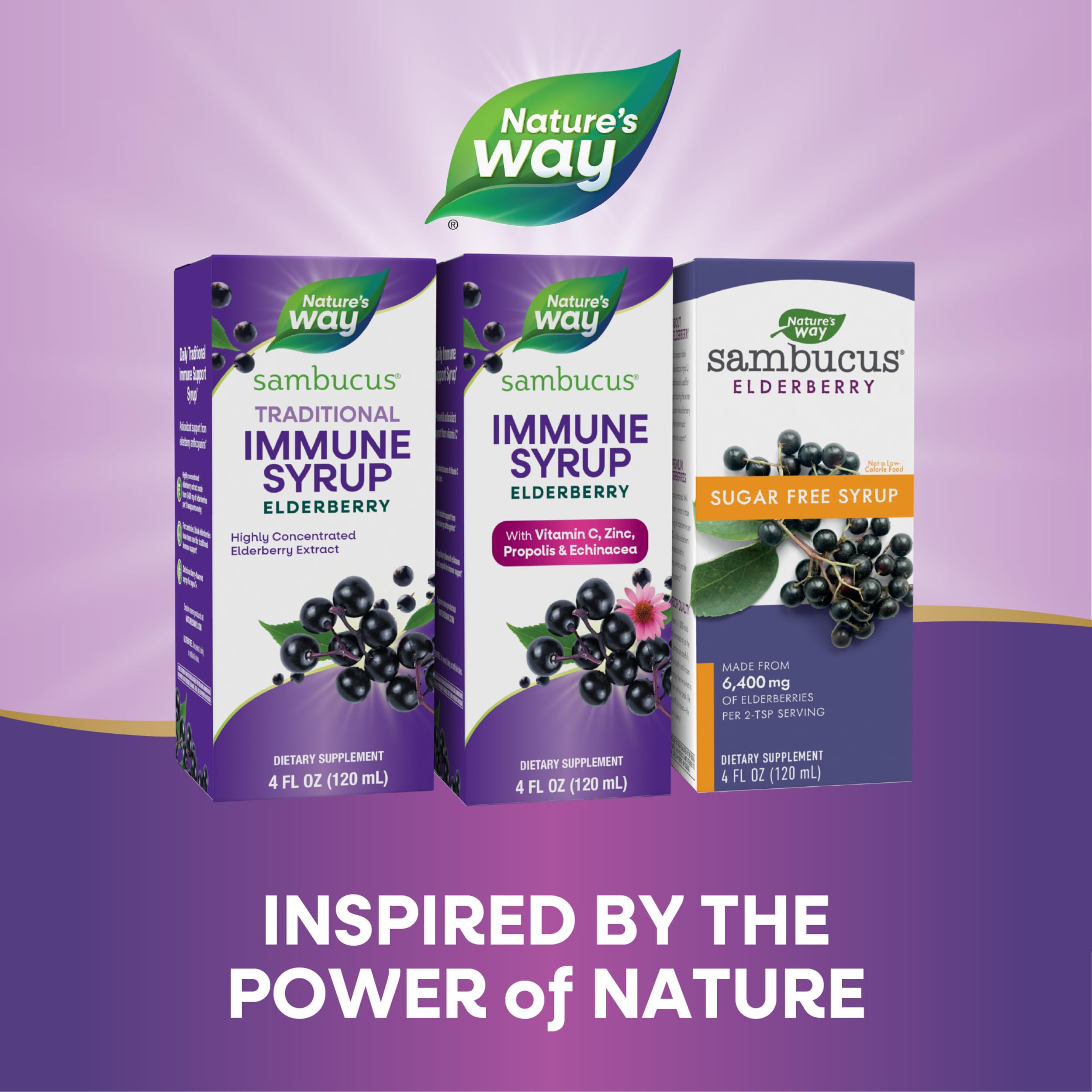 Foto 8 pulgar | Suplemento Nature's Way Sambucus Elderberry Immune 120 Ml con Vitamina C Zinc Equinácea y Propóleo - Venta Internacion