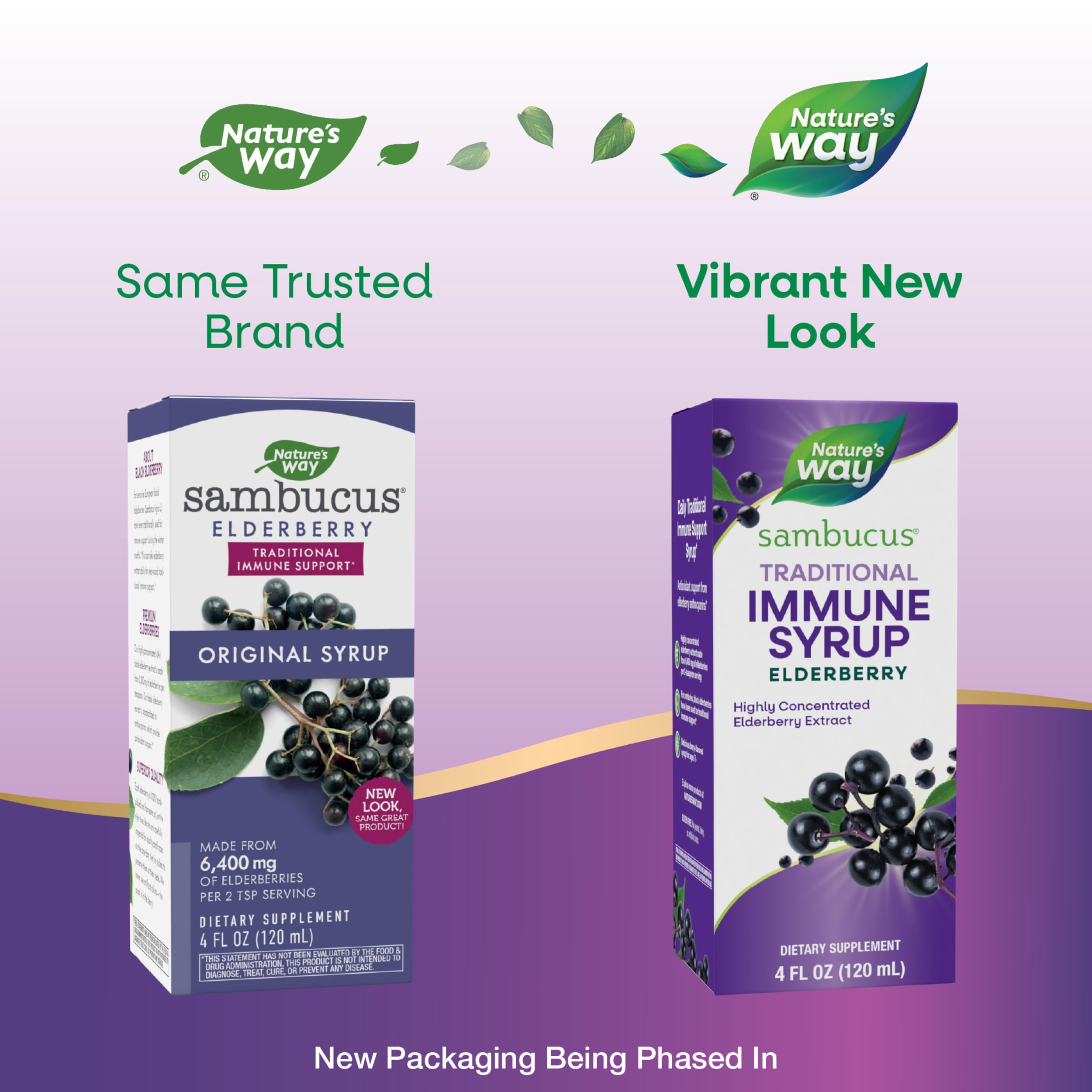 Foto 3 pulgar | Sirope Nature's Way Sambucus Saúco Tradicional Inmune 120 Ml - Venta Internacional