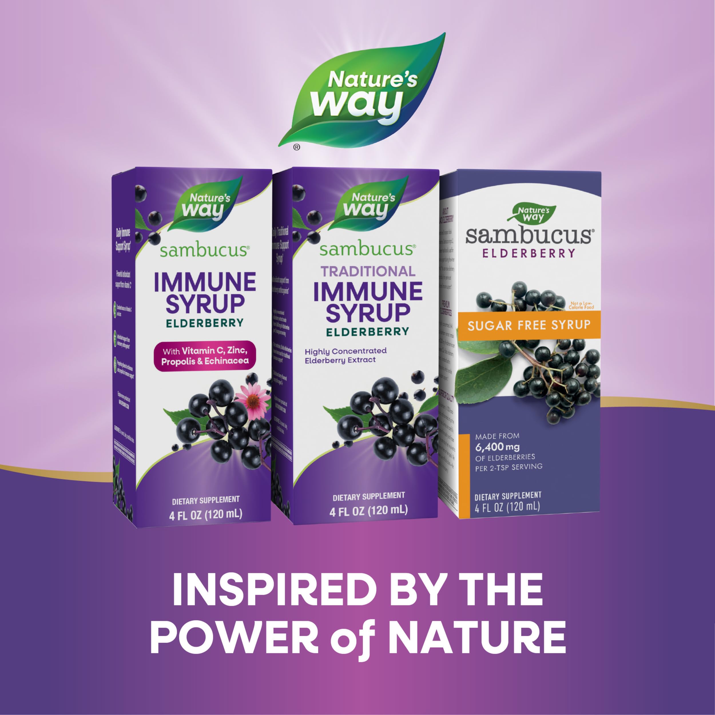 Foto 8 pulgar | Sirope Nature's Way Sambucus Saúco Tradicional Inmune 120 Ml - Venta Internacional