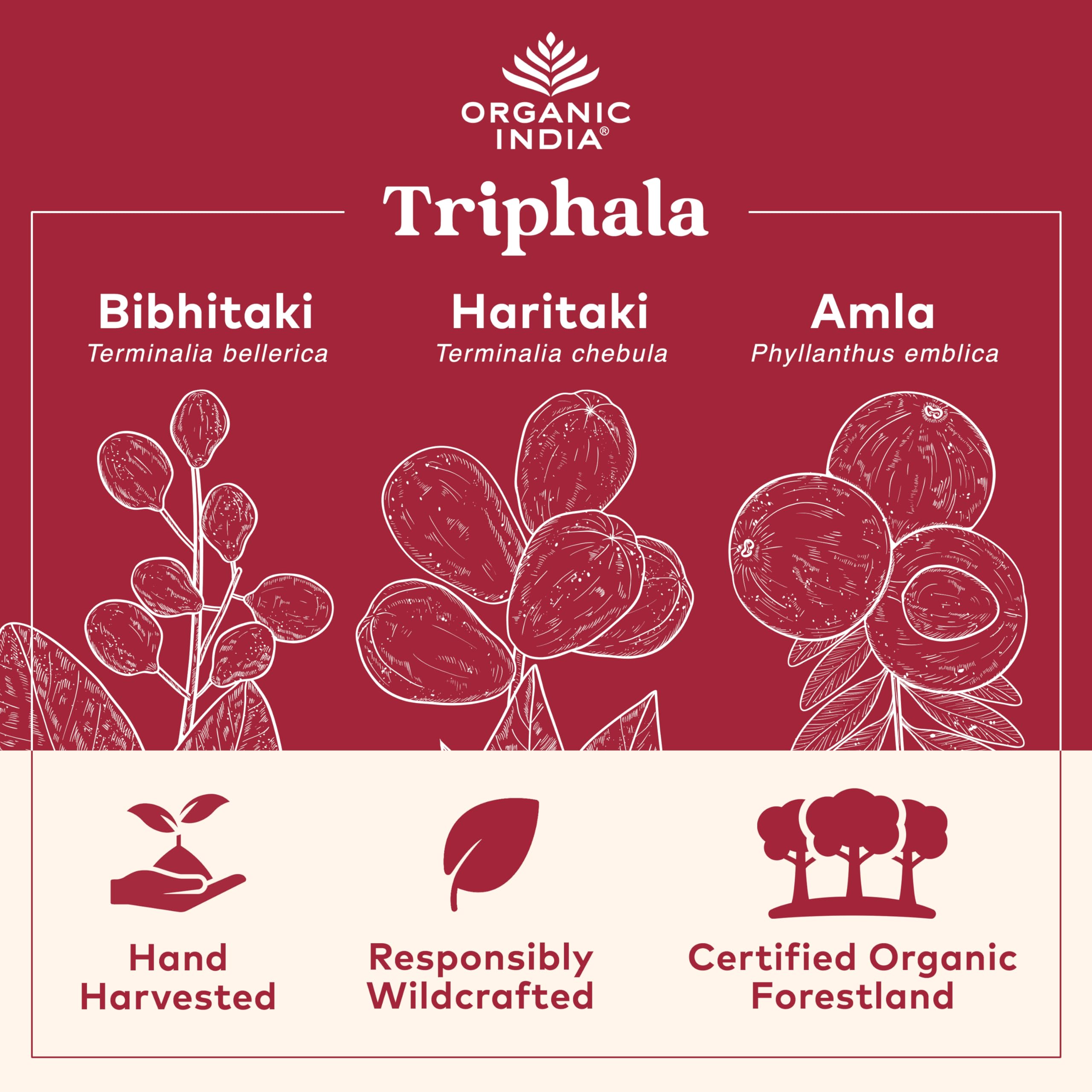 Foto 3 pulgar | Suplemento Organic India Triphala Capsules 180 Unidades - Venta Internacional