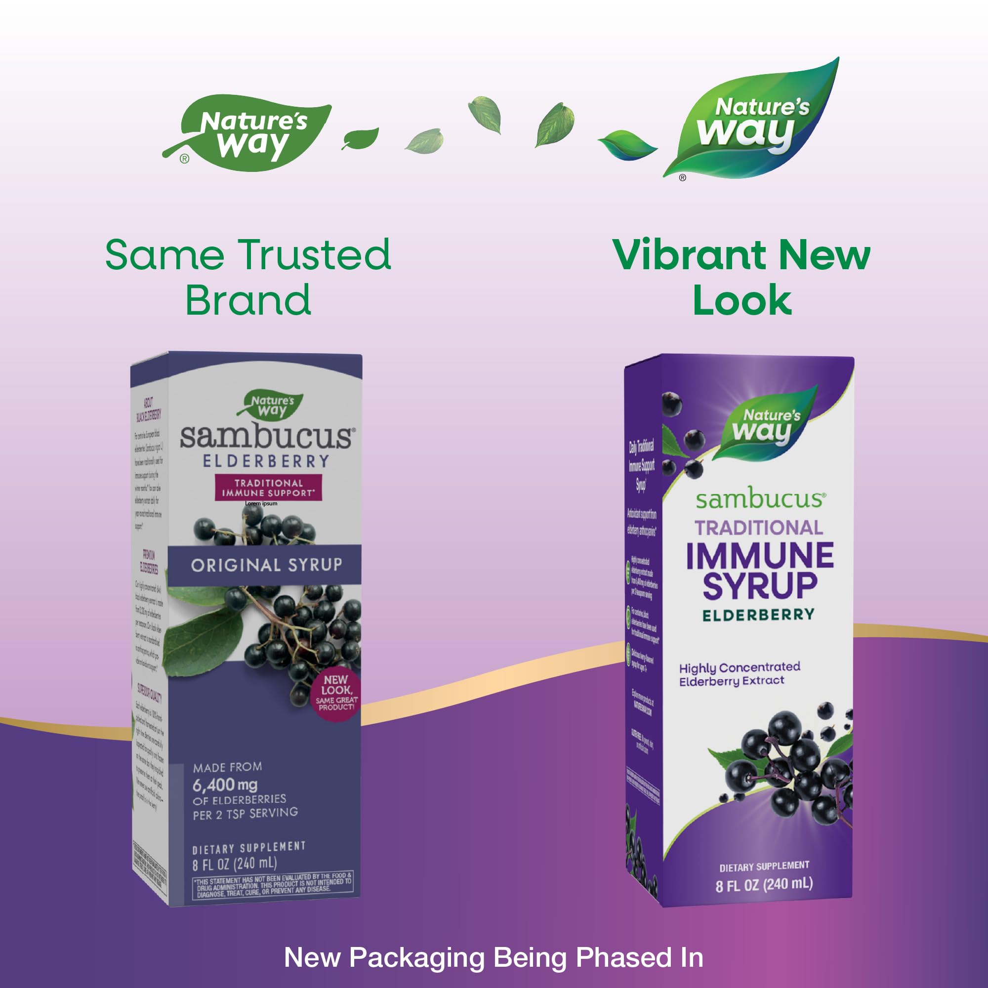 Foto 3 pulgar | Sirope Nature's Way Para Sambucus Saúco Tradicional Inmune 240 Ml - Venta Internacional