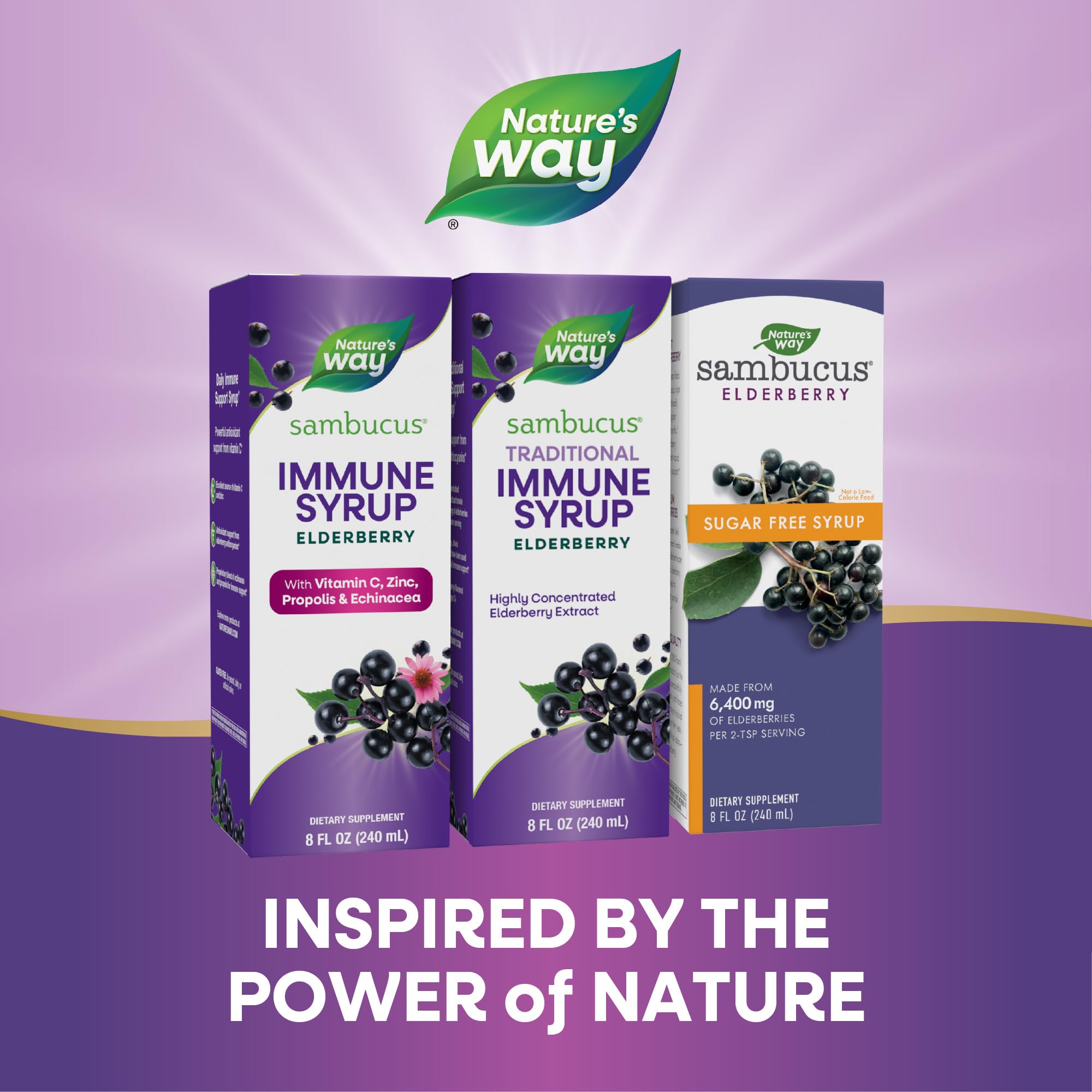 Foto 8 pulgar | Sirope Nature's Way Para Sambucus Saúco Tradicional Inmune 240 Ml - Venta Internacional