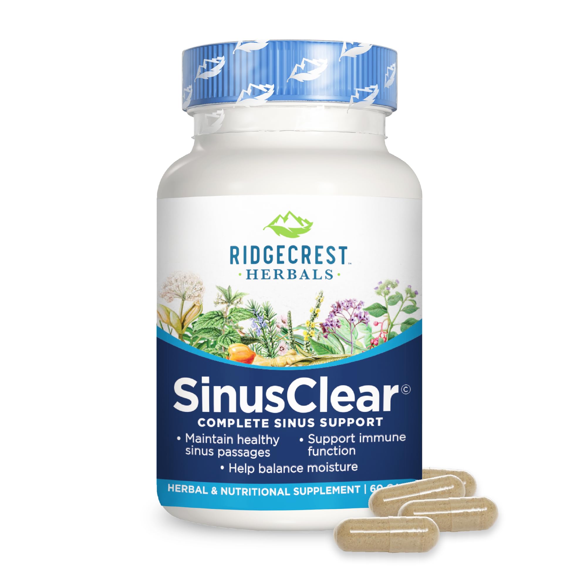 Foto 2 pulgar | Suplemento Ridgecrest Herbals Sinusclear 60 Cápsulas Vegetales - Venta Internacional