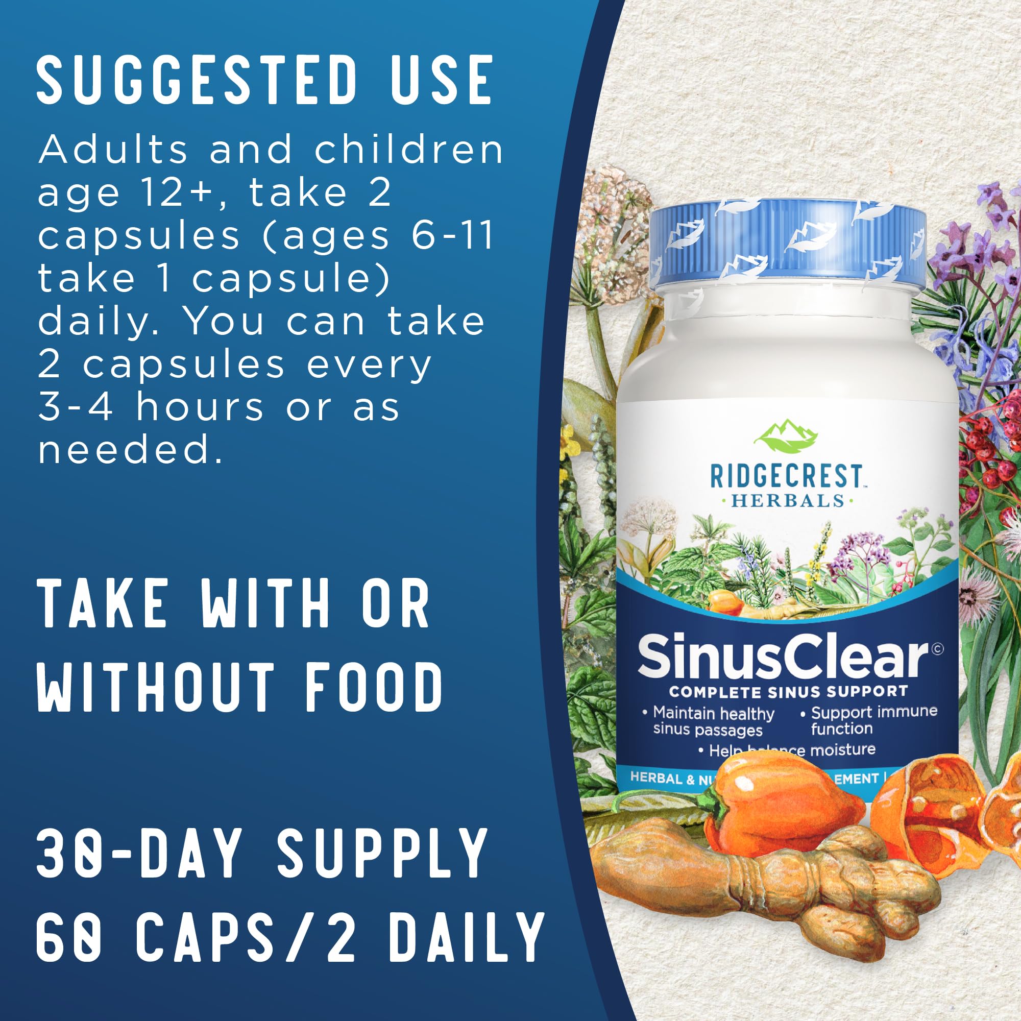Foto 4 pulgar | Suplemento Ridgecrest Herbals Sinusclear 60 Cápsulas Vegetales - Venta Internacional