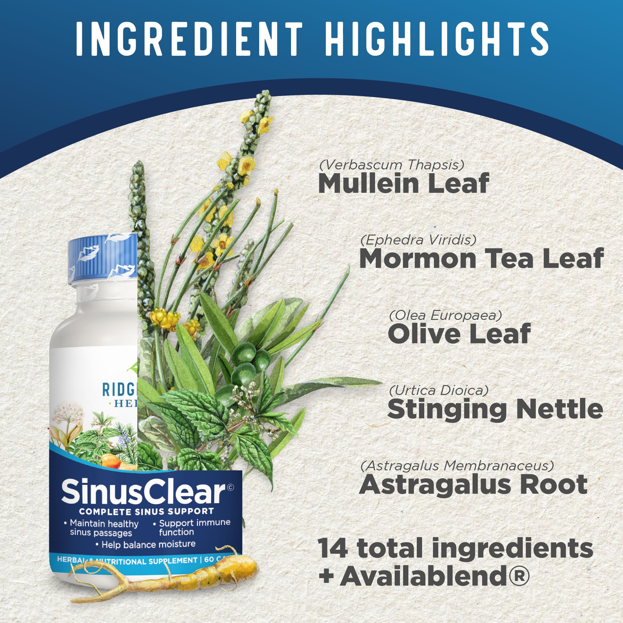 Foto 5 pulgar | Suplemento Ridgecrest Herbals Sinusclear 60 Cápsulas Vegetales - Venta Internacional