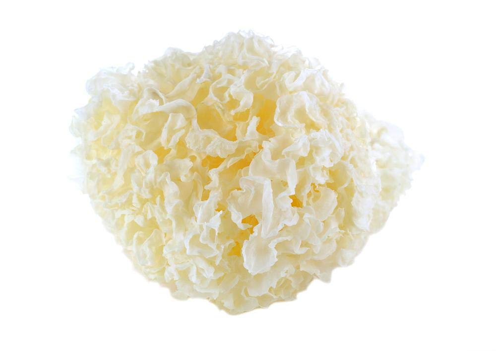 Foto 3 | Suplemento Addictive Wellness Extracto de Hongos Tremella 50 G - Venta Internacional