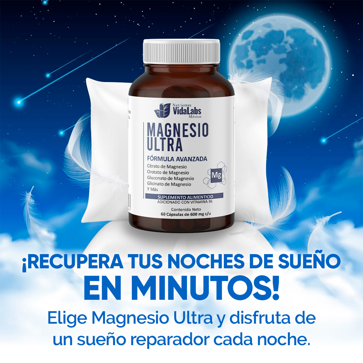 Foto 5 pulgar | Paquete de 6 Frascos De Magnesio Ultra Nutrientes Vidalabs México