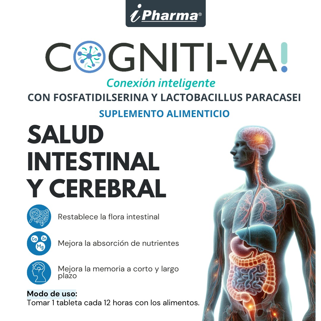Foto 4 pulgar | Probióticos Para La Flora Intestinal + Fosfatidilserina Mejora La Concentración Cognitiva 60 Tabletas