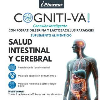 Foto 3 | Probióticos Para La Flora Intestinal + Fosfatidilserina Mejora La Concentración Cognitiva 60 Tabletas