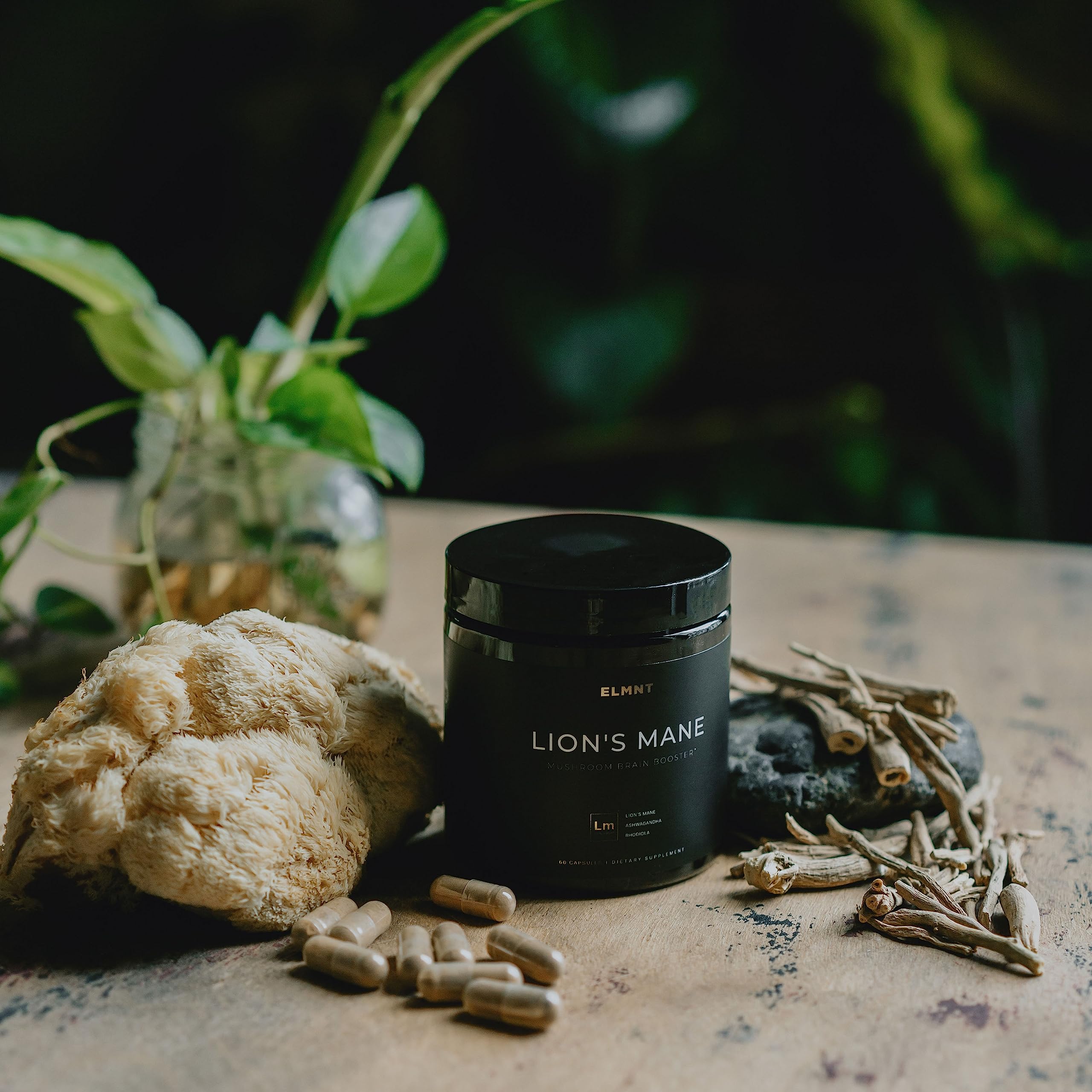 Foto 5 pulgar | Suplemento Terra Elmnt Lions Mane De 20,000 Mg Con Ashwagandha Y Rodiola - Venta Internacional.
